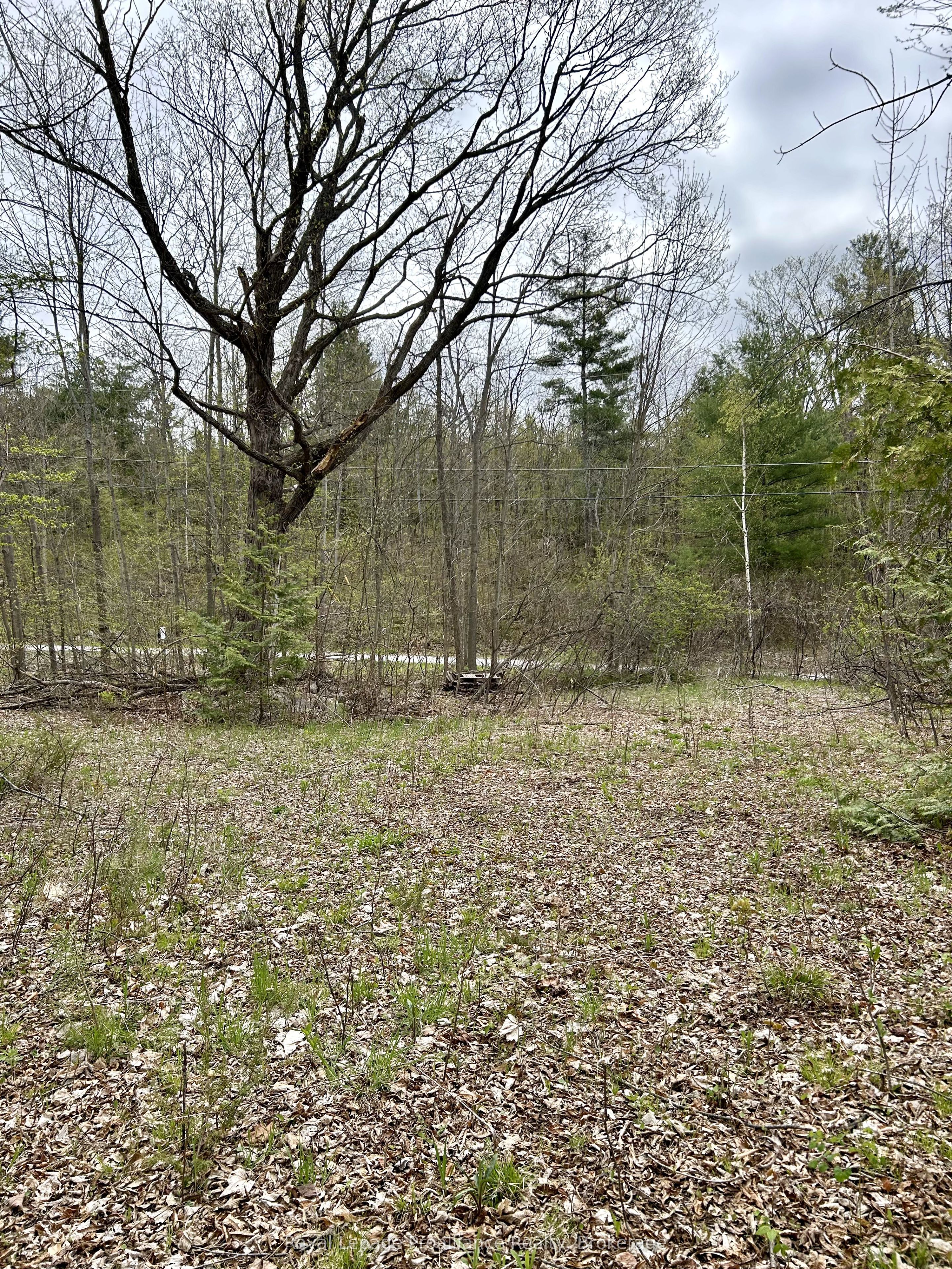 31 Glen Ridge Road Property Photo 6