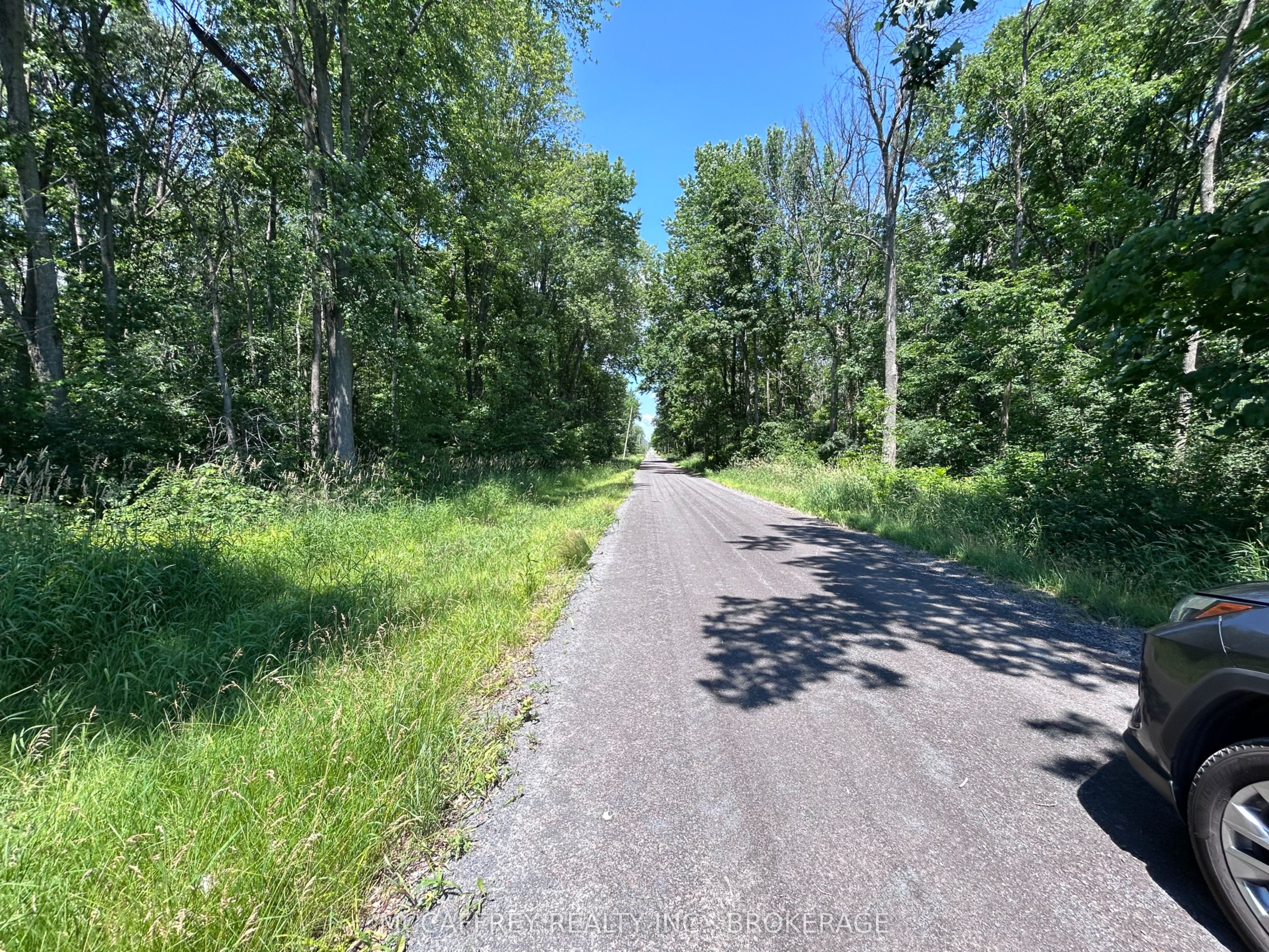 358 Townline Road Property Photo 4