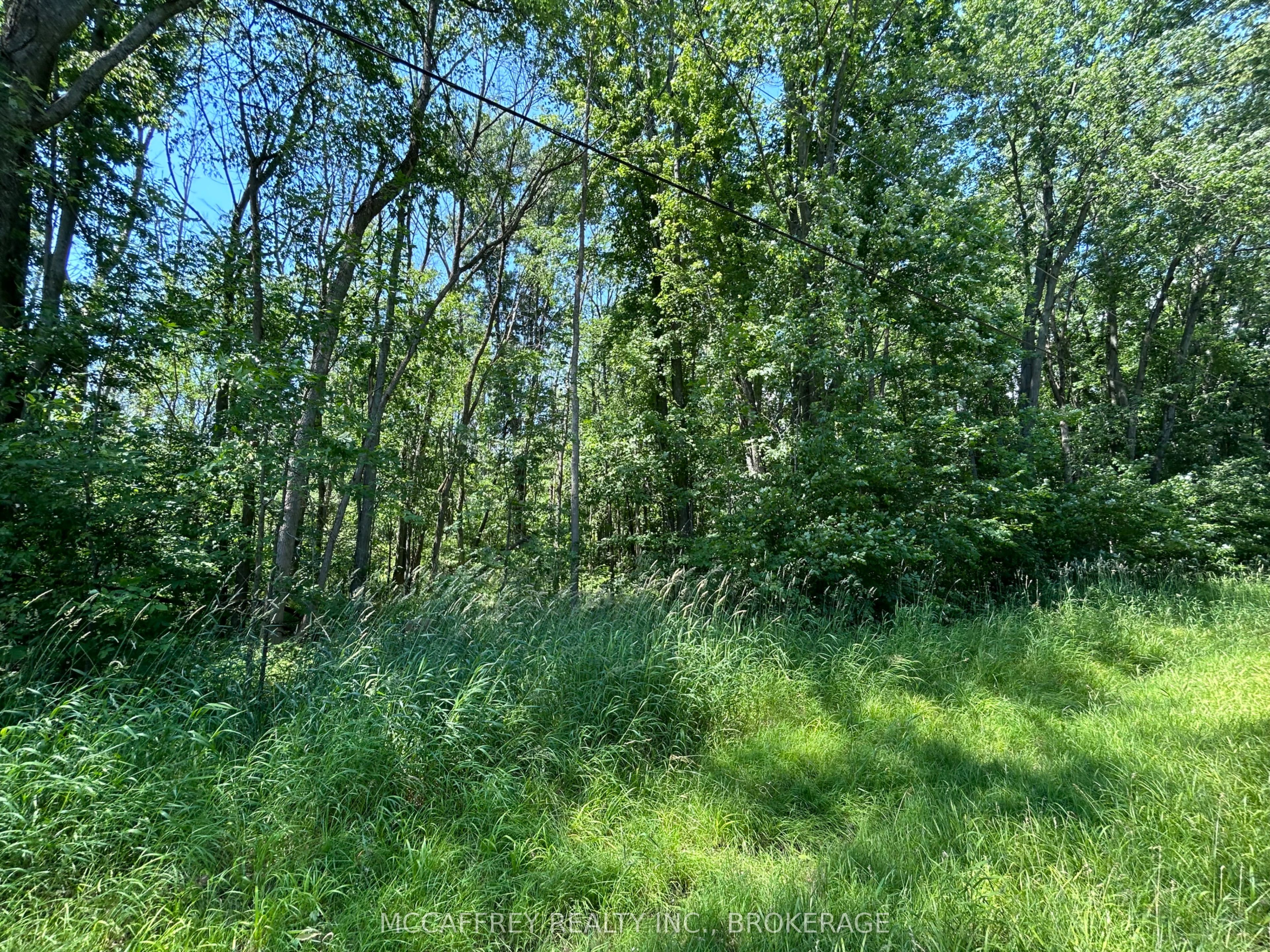 358 Townline Road Property Photo 6