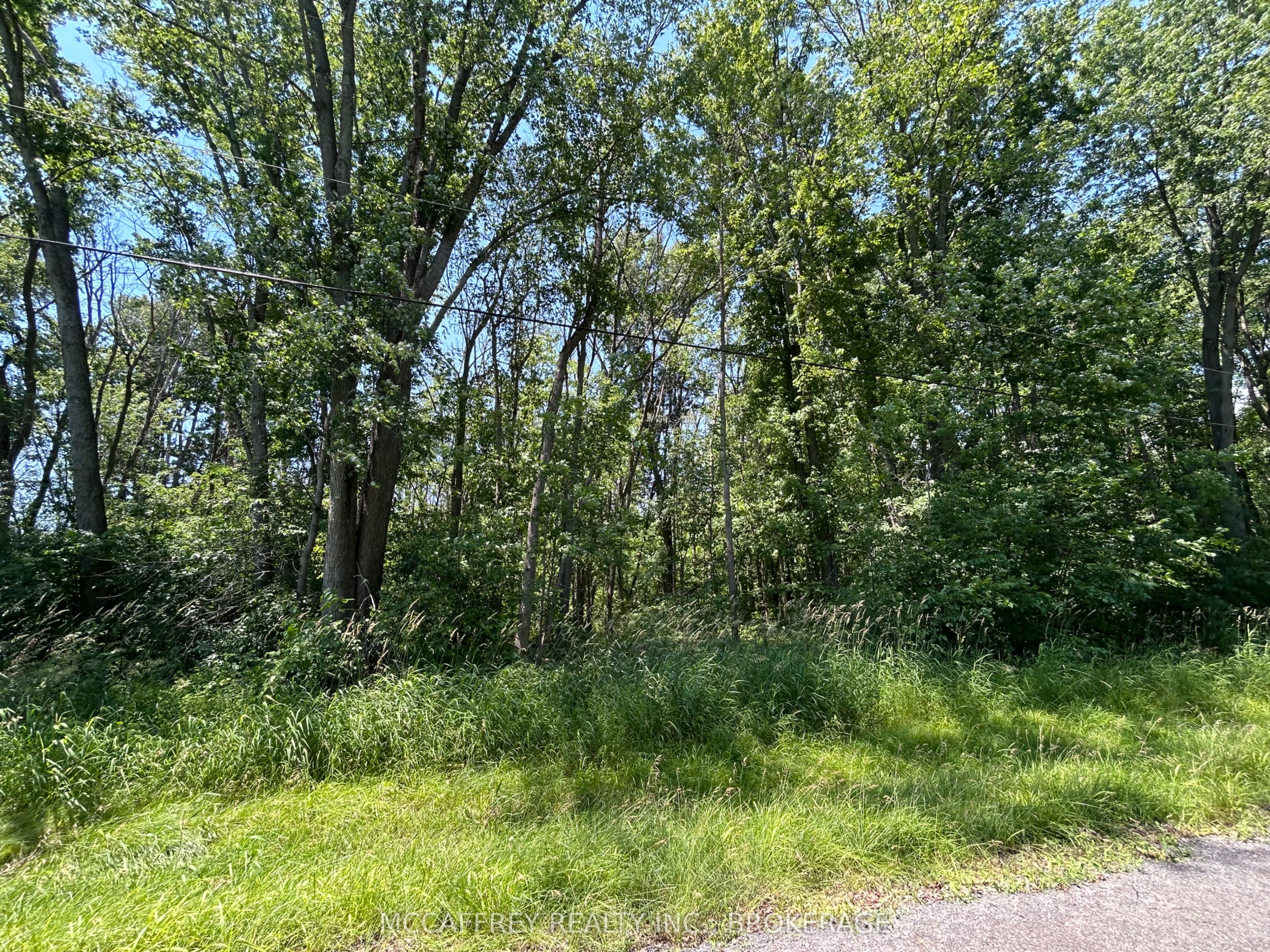 358 Townline Road Property Photo 7