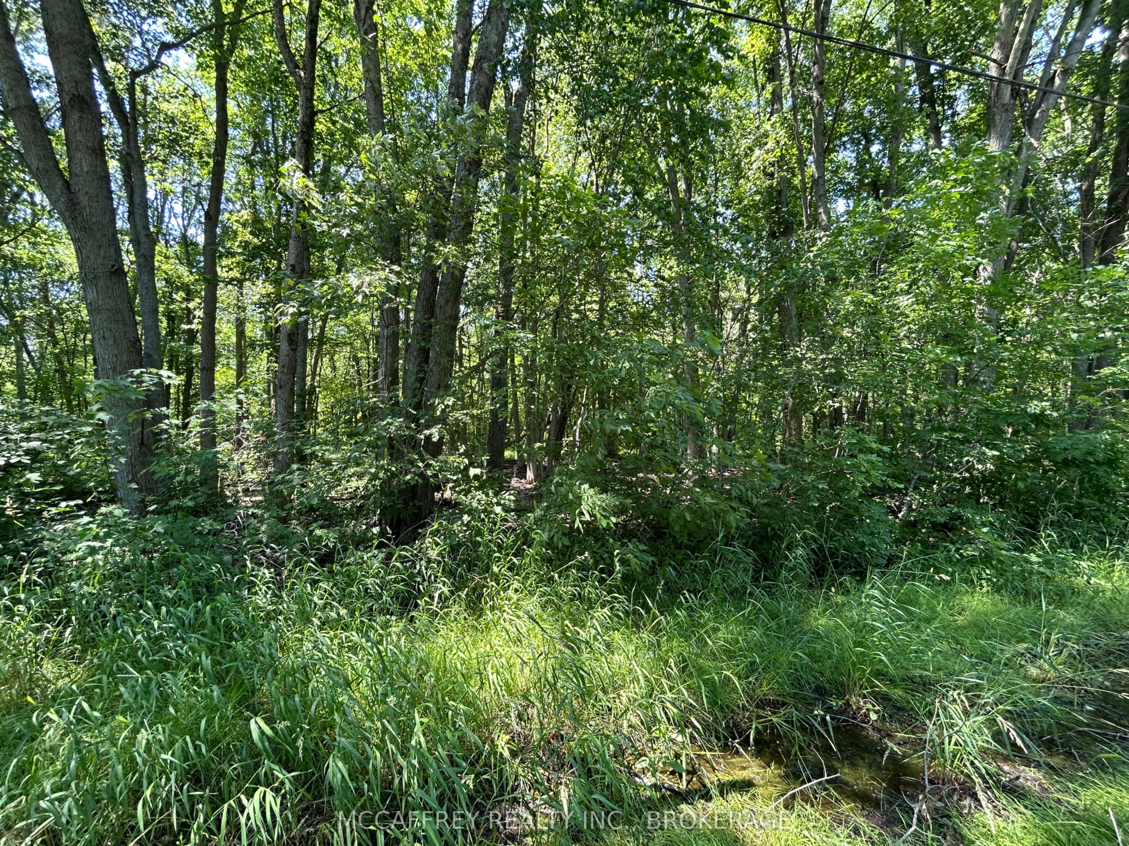 358 Townline Road Property Photo 8