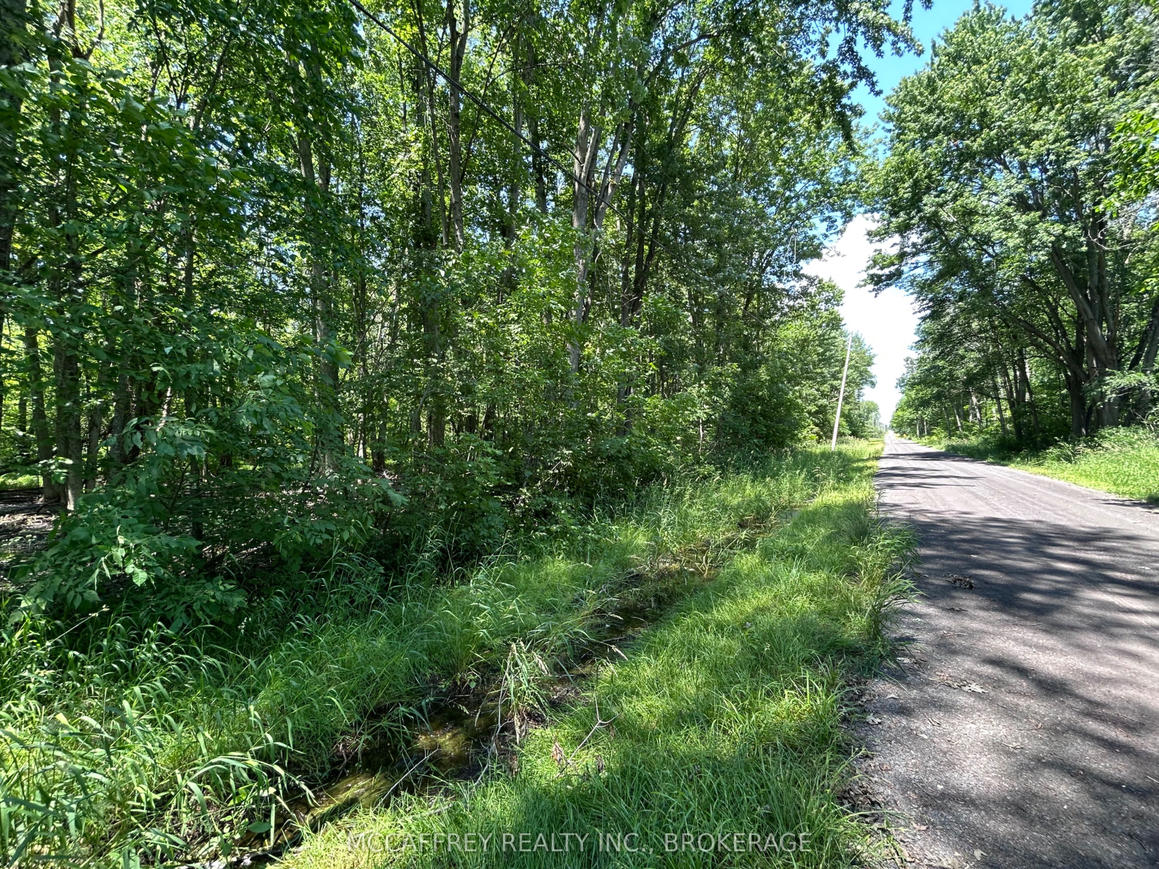 358 Townline Road Property Photo 9