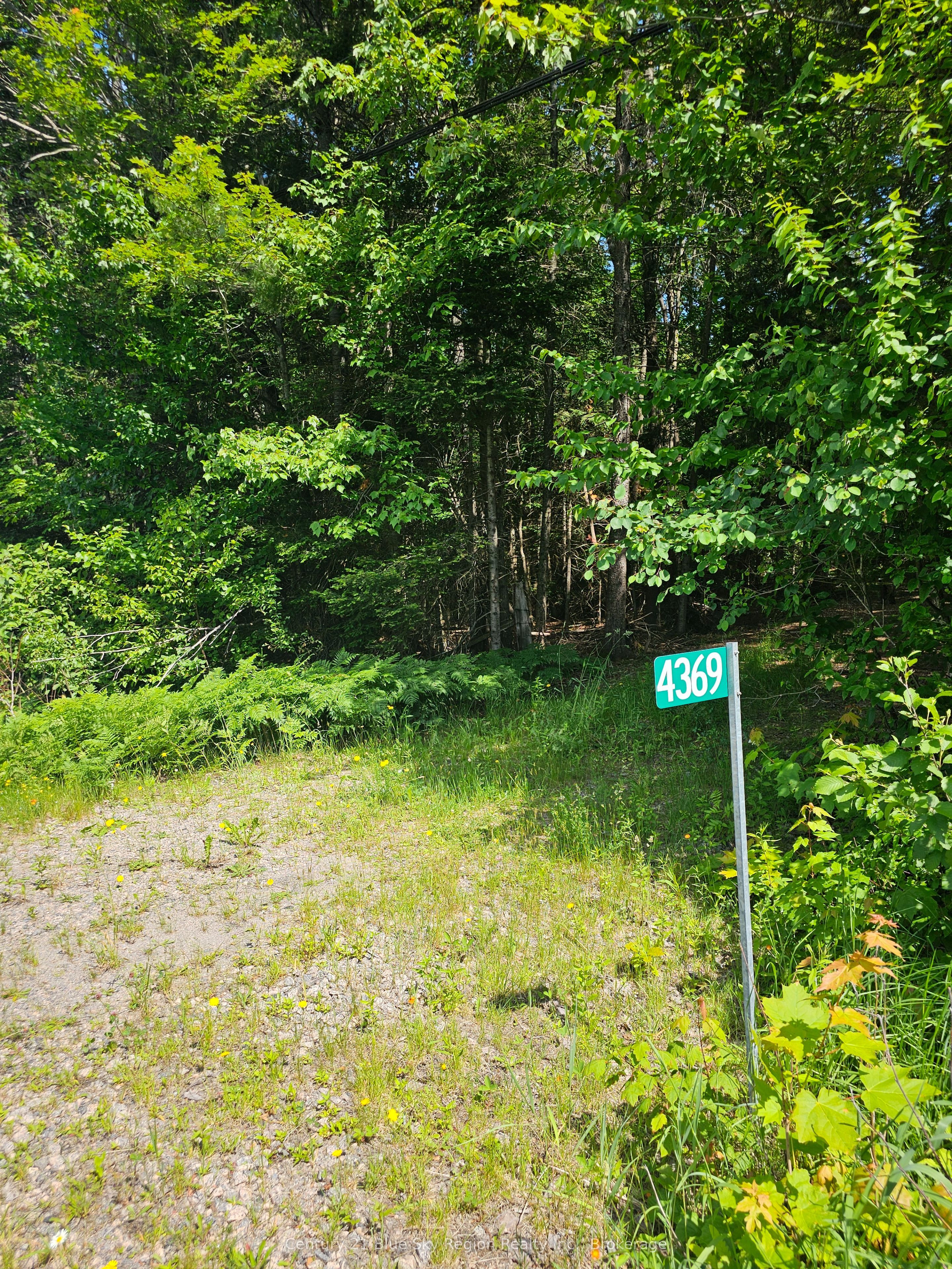 4369 Highway 534 Property Photo 1