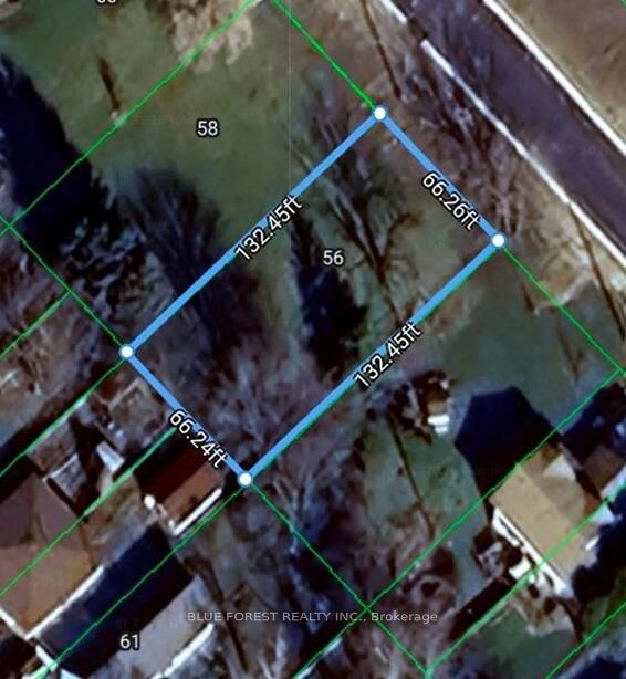 56 Albert Avenue Property Photo 1