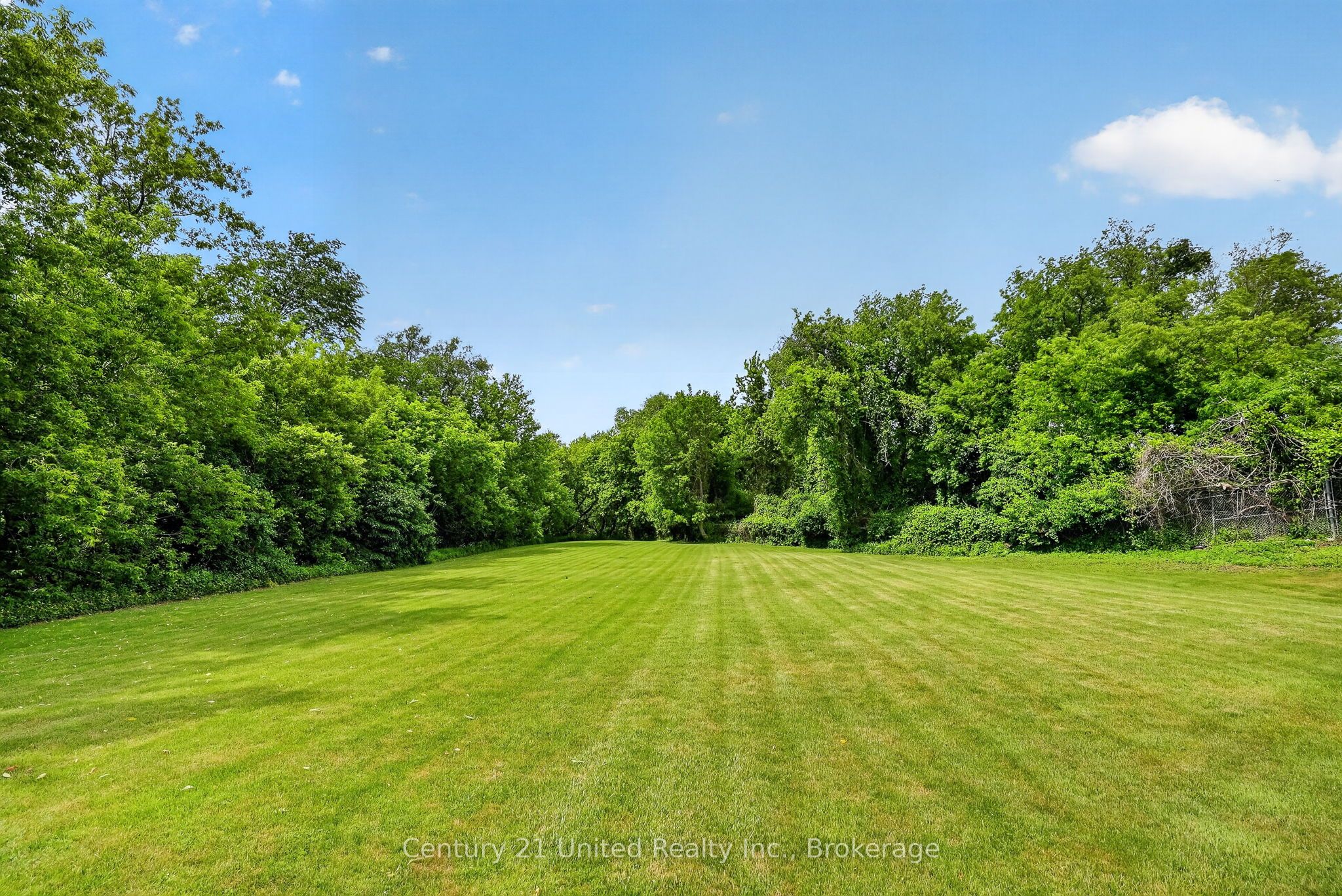 670 William Street Property Photo 15