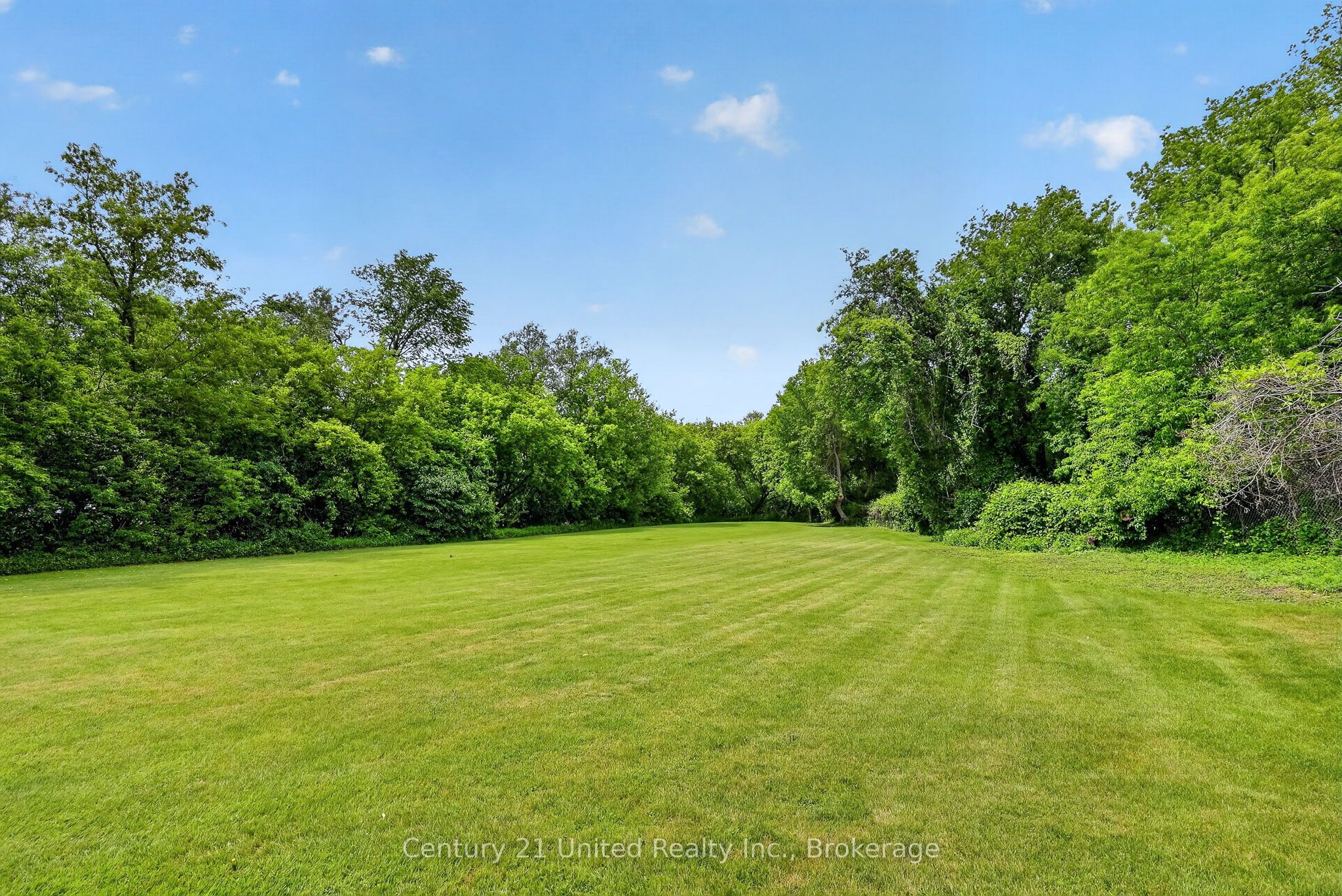 670 William Street Property Photo 16