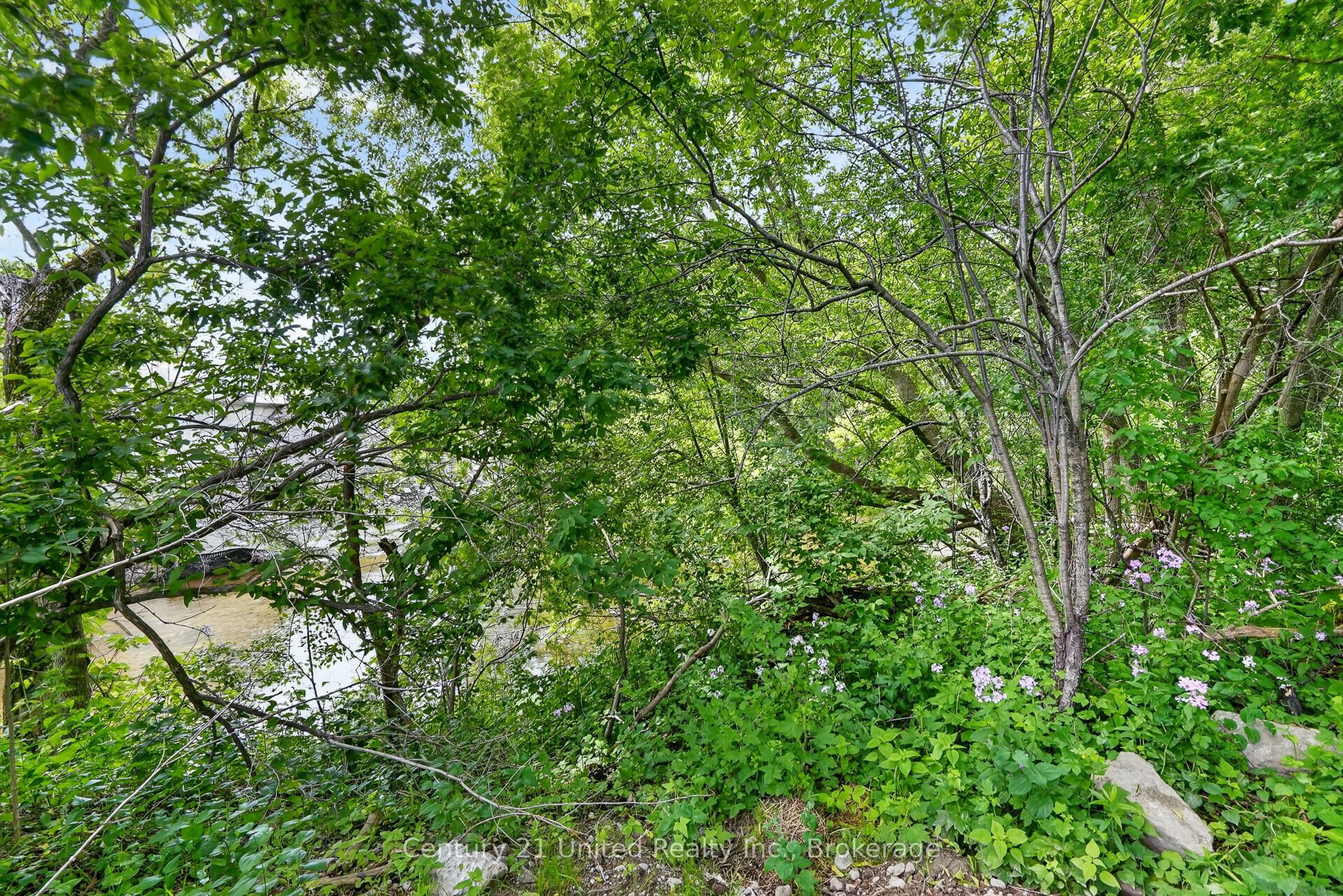 670 William Street Property Photo 27