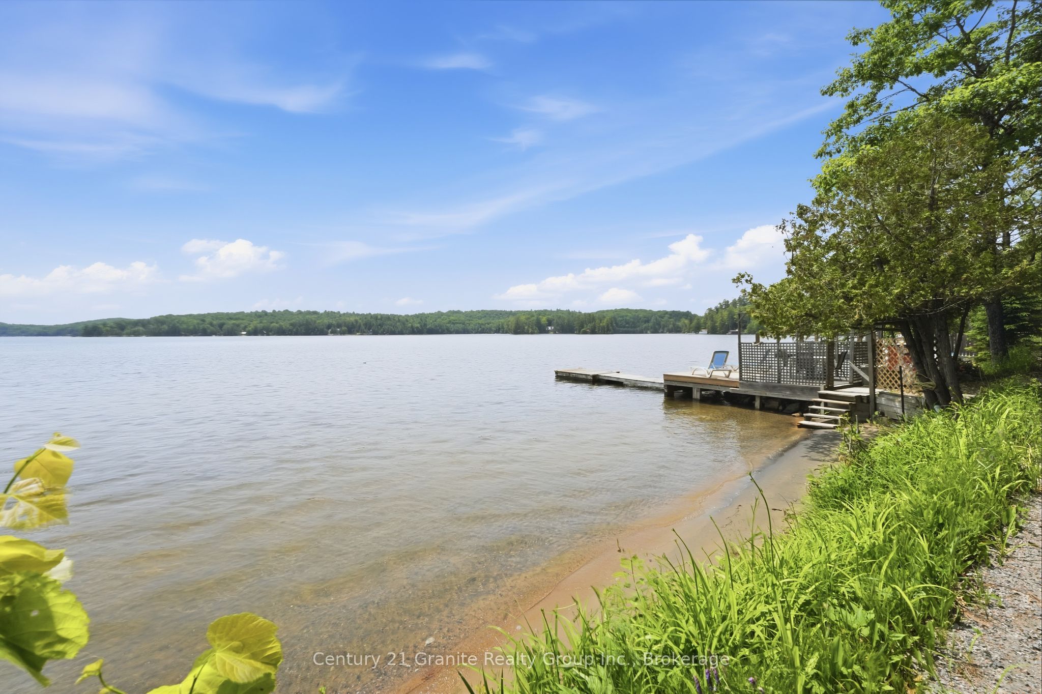 1163 Reynolds Road Property Photo 3