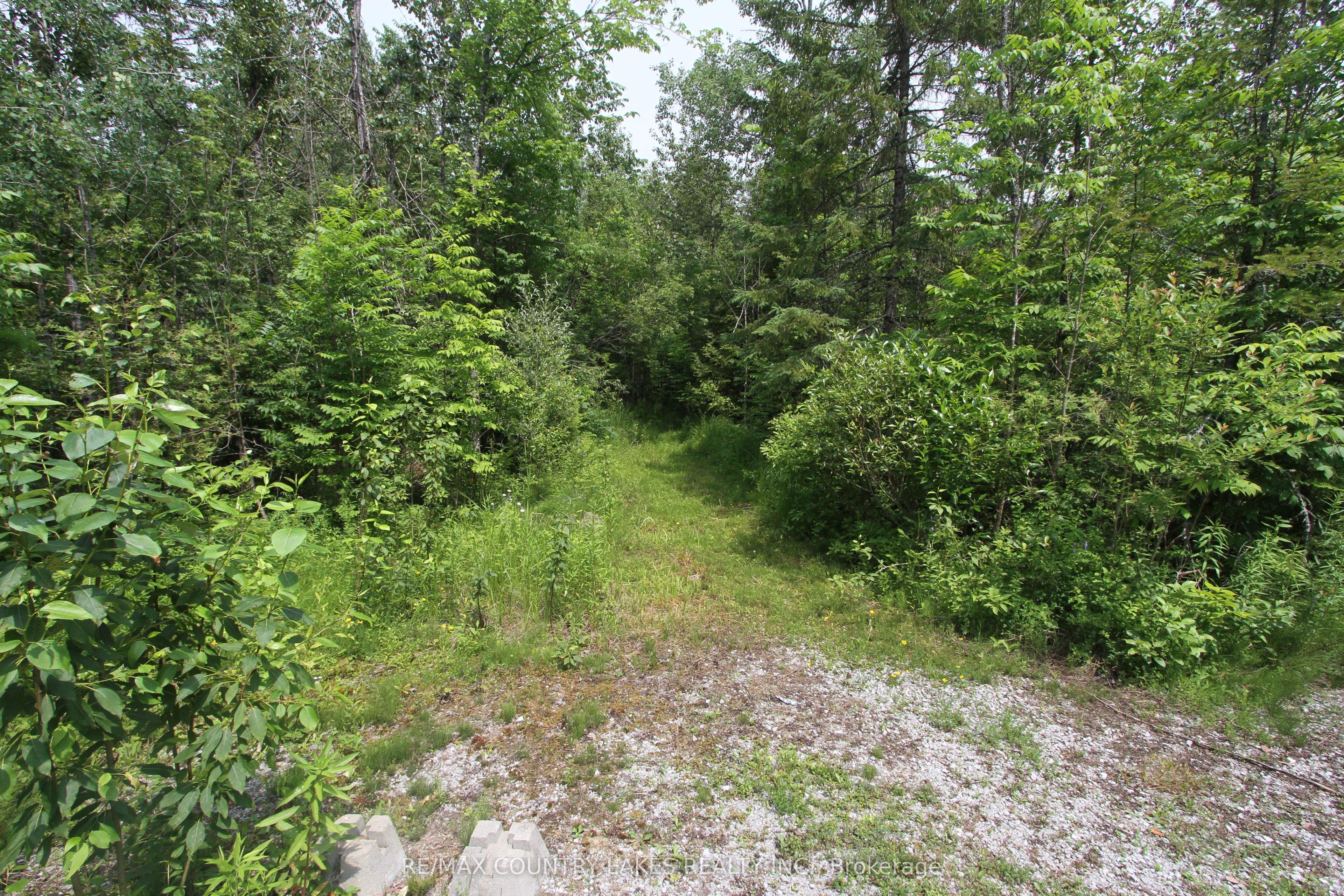 176 Maritime Road Property Photo 40