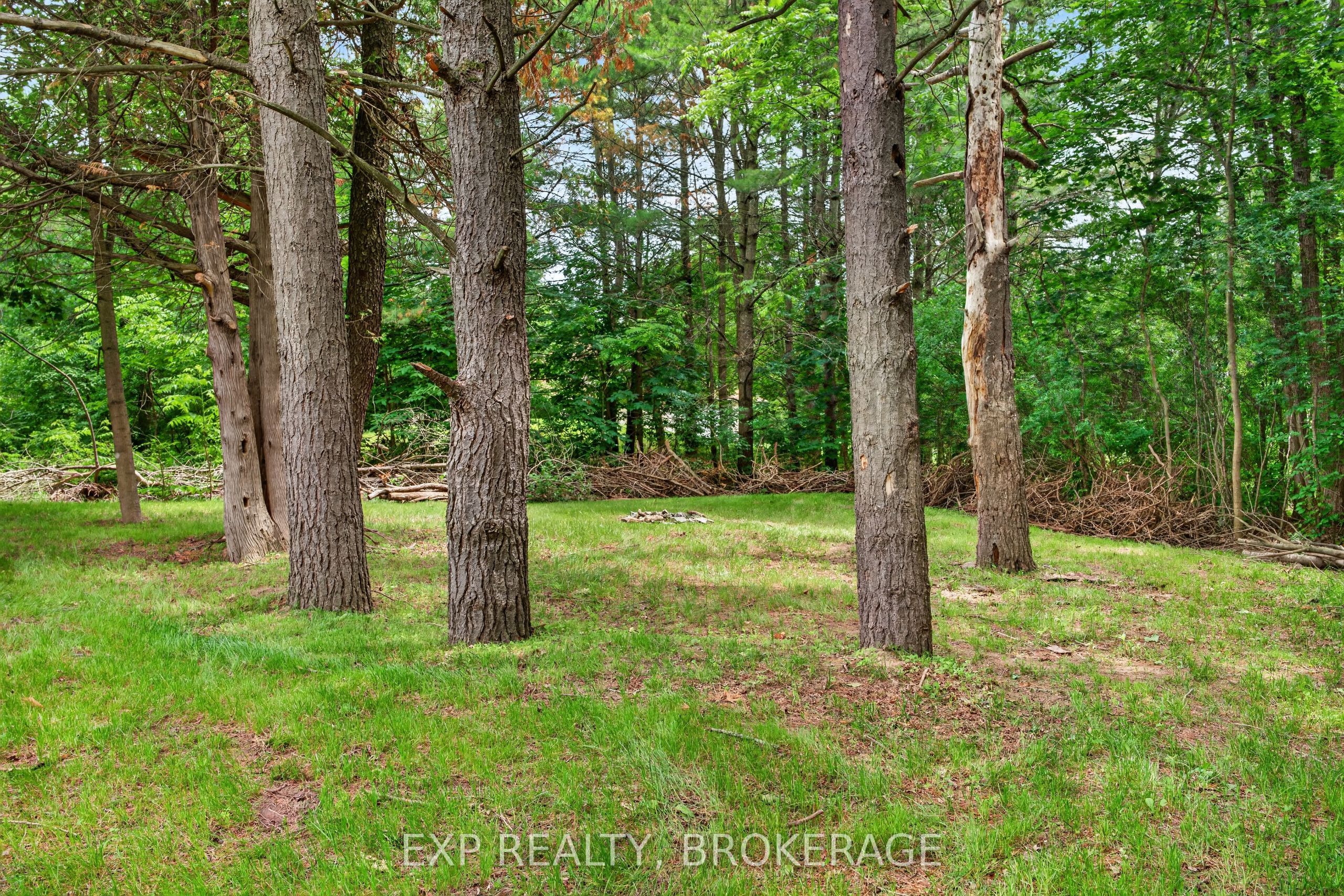1802 Sydenham Road Property Photo 39