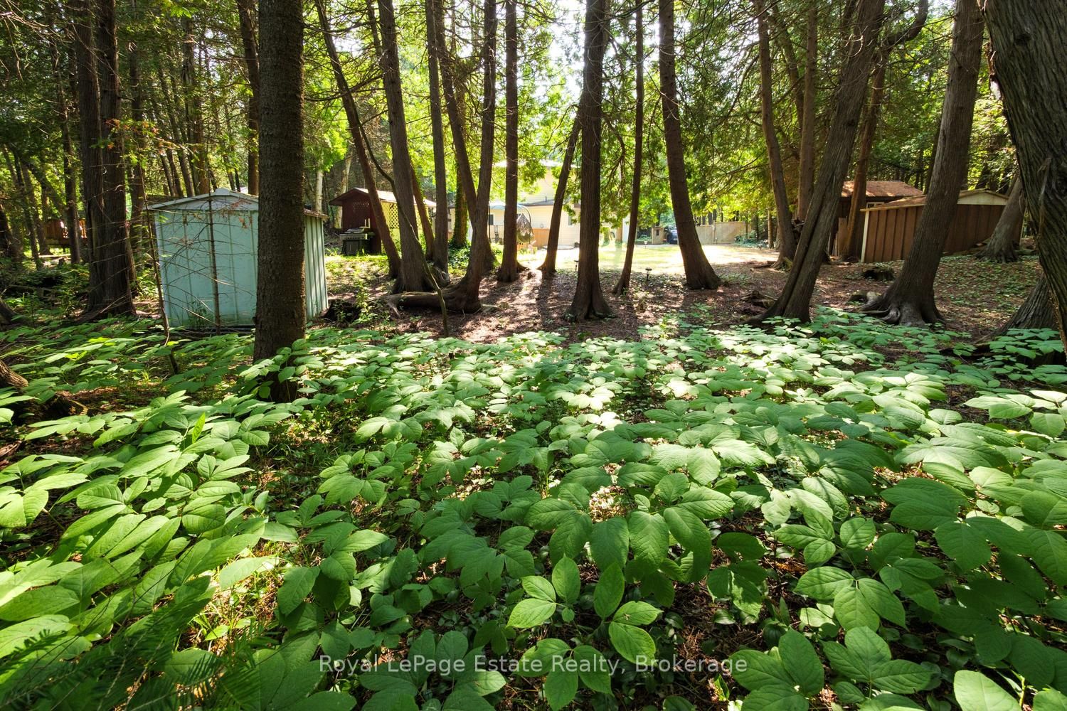 125 Third Avenue N Property Photo 28