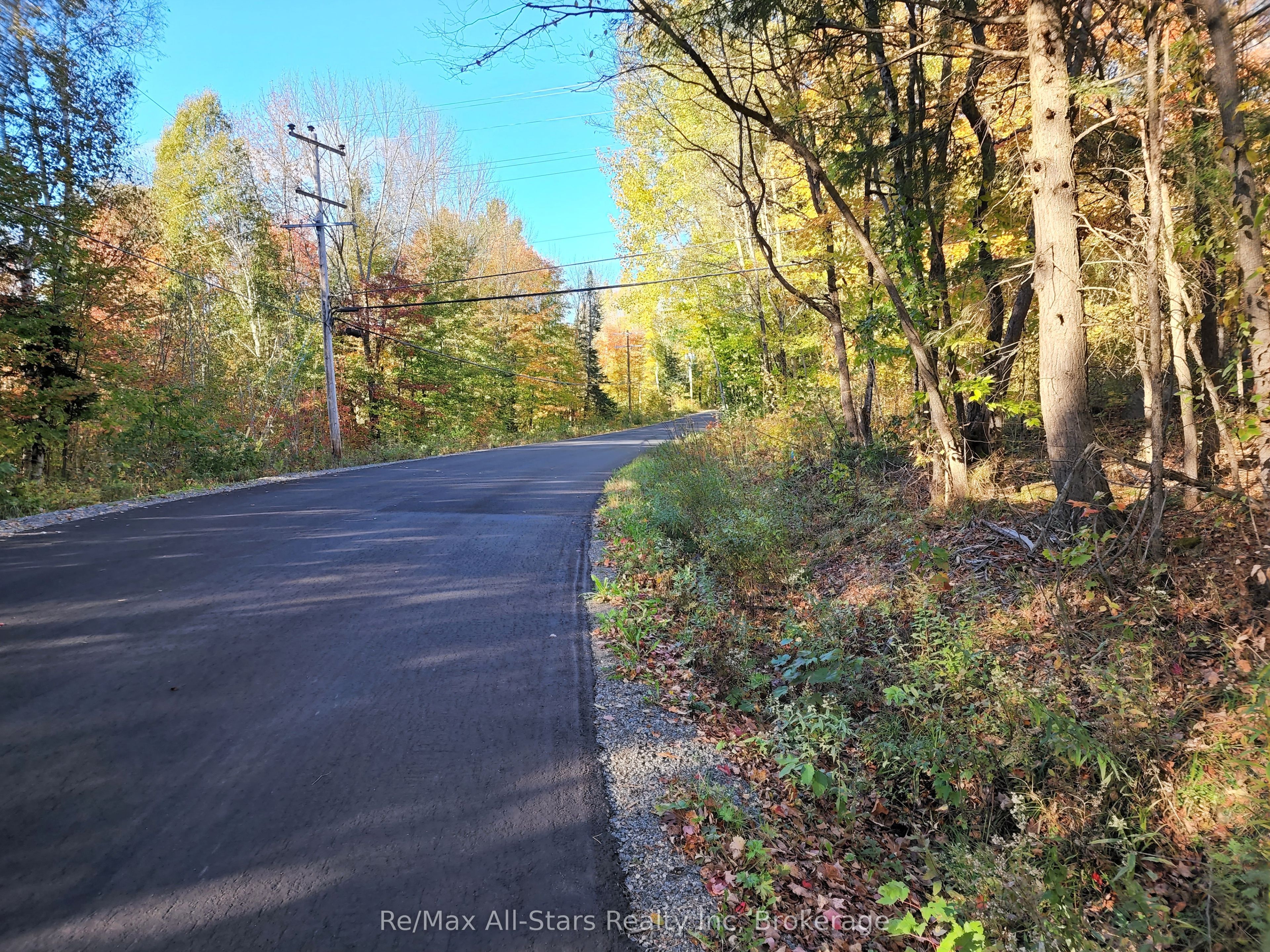 A Tally Ho Winter Park Road Property Photo 6
