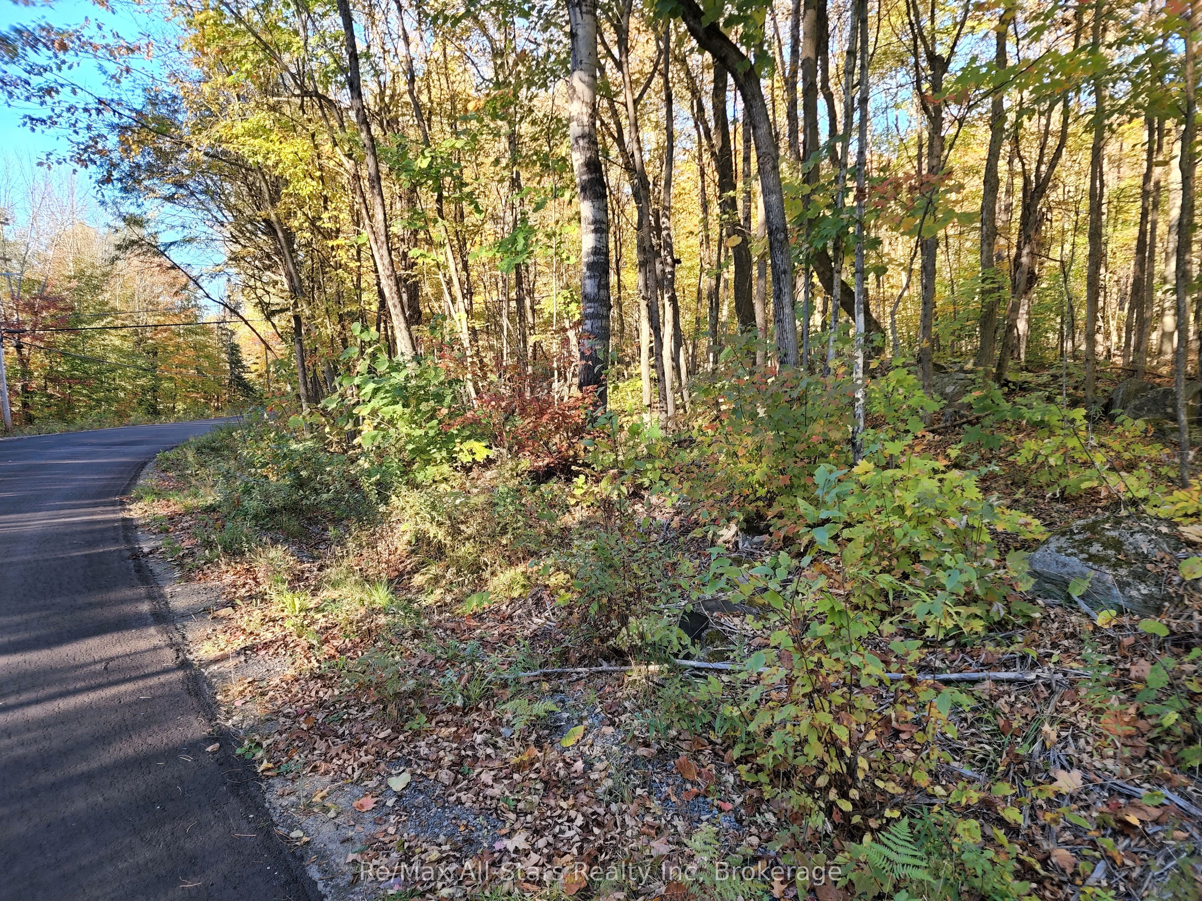 A Tally Ho Winter Park Road Property Photo 10