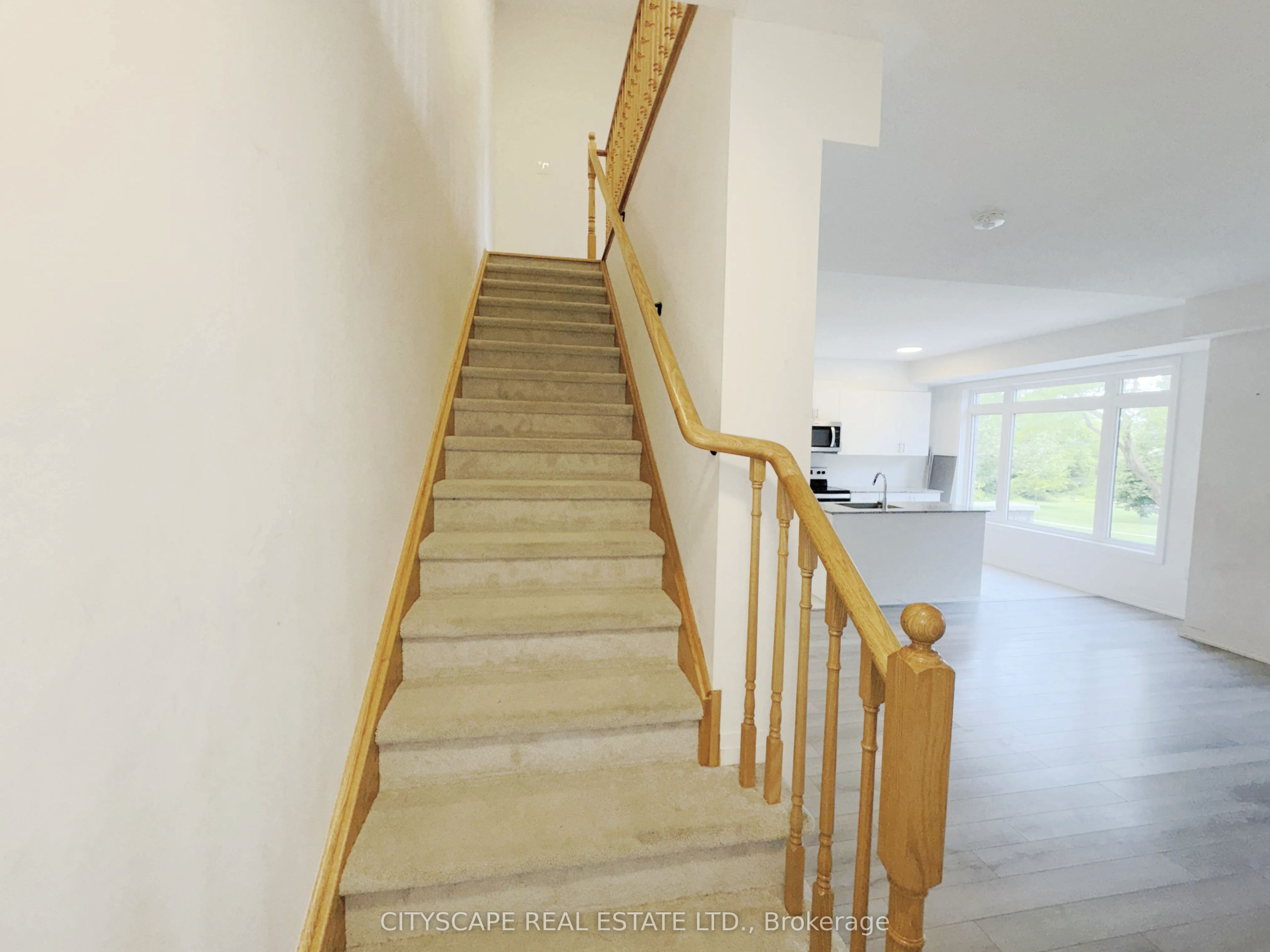 34 Sidney Rose Common Property Photo 19