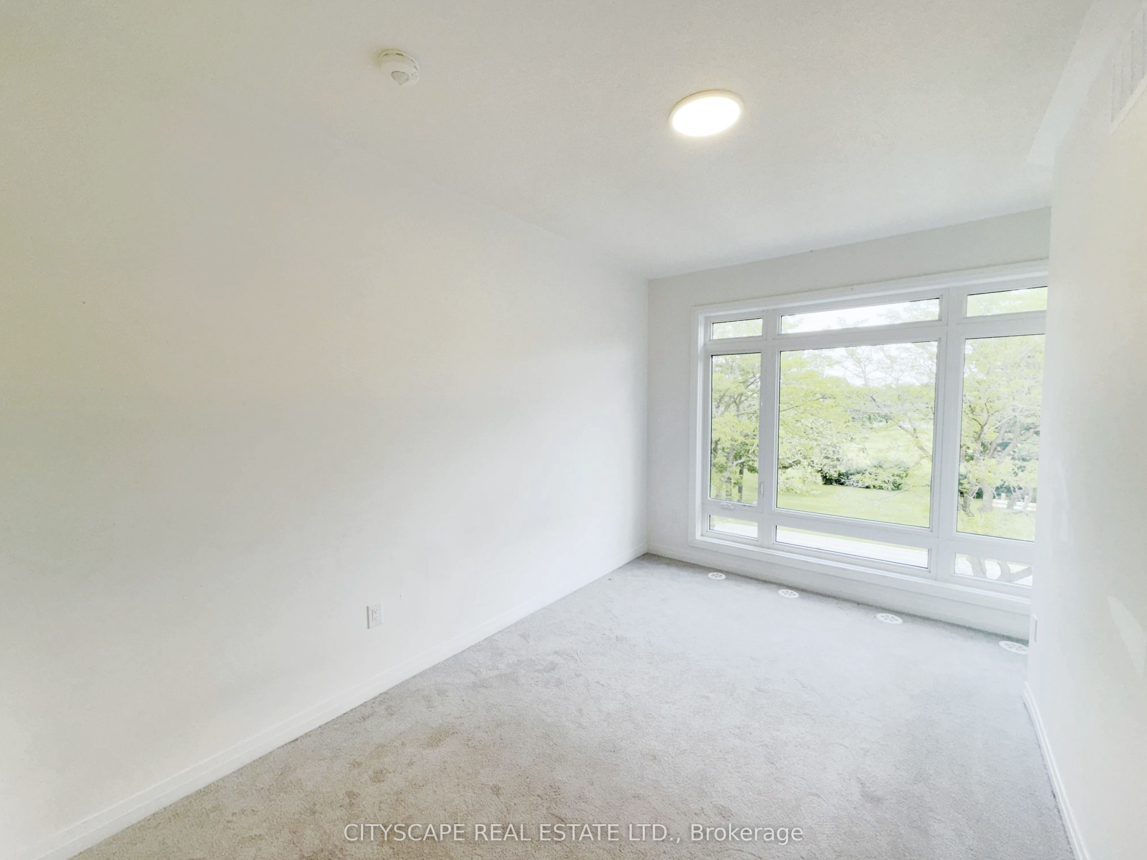 34 Sidney Rose Common Property Photo 20