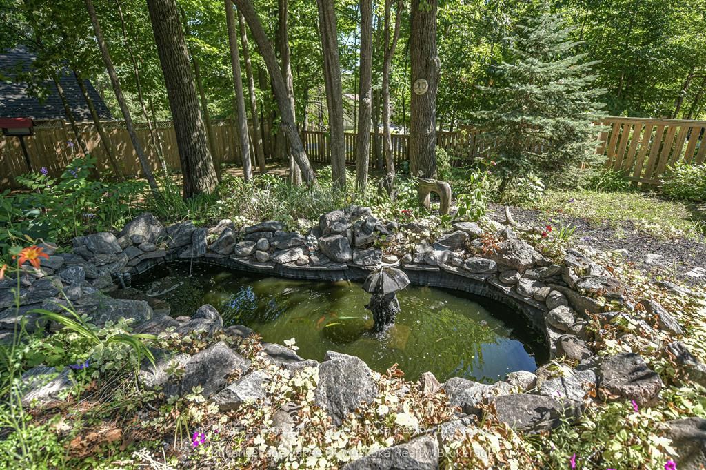 115 Douglas Street Property Photo 11