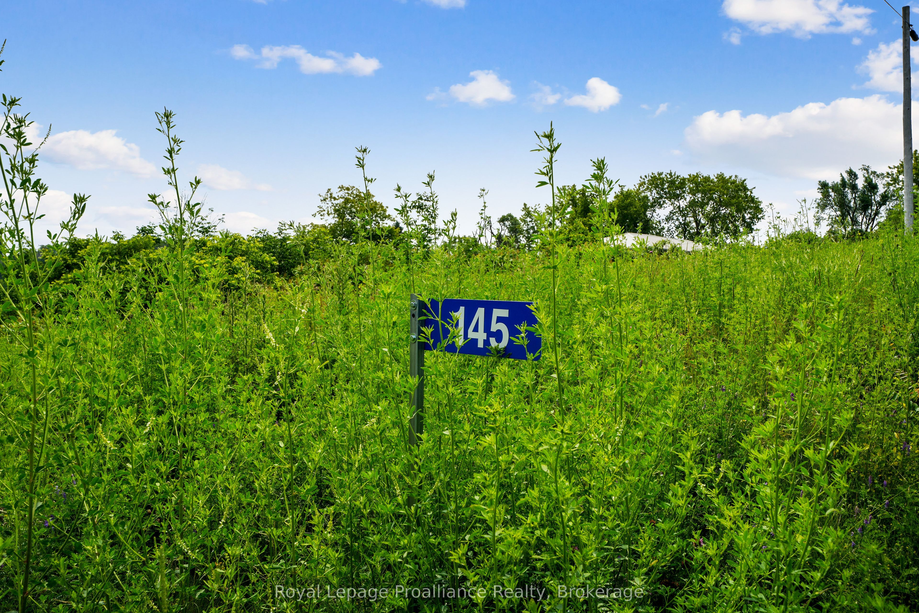 145 Portage Street Property Photo 4