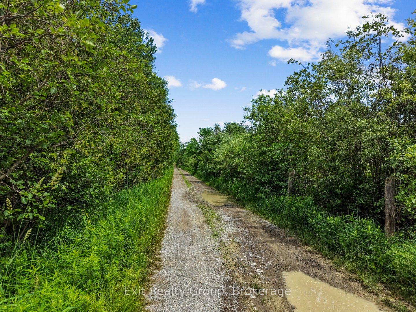 2487 Blezard Line Property Photo 12