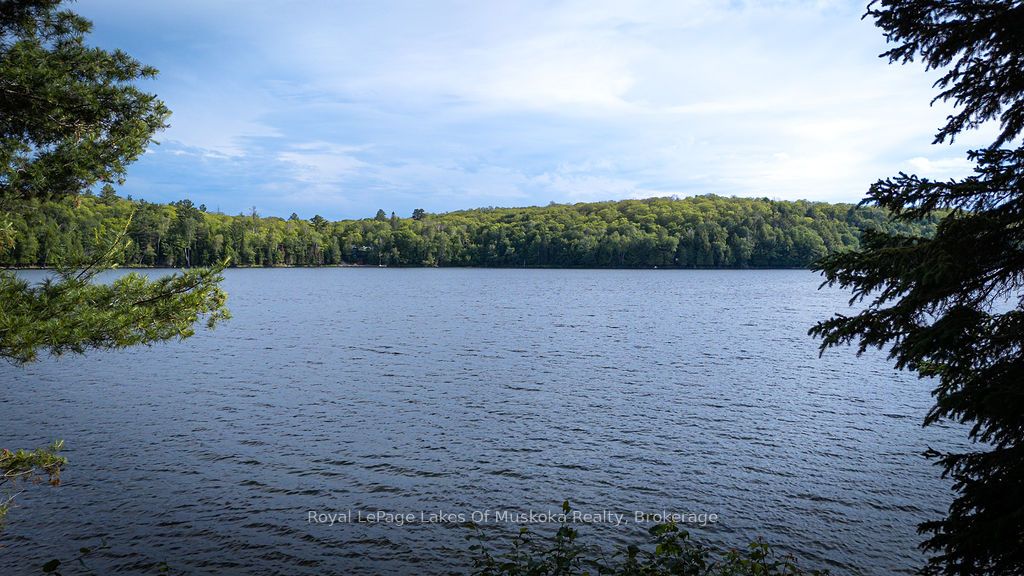 2245 Ahmic Lake Road Property Photo 2