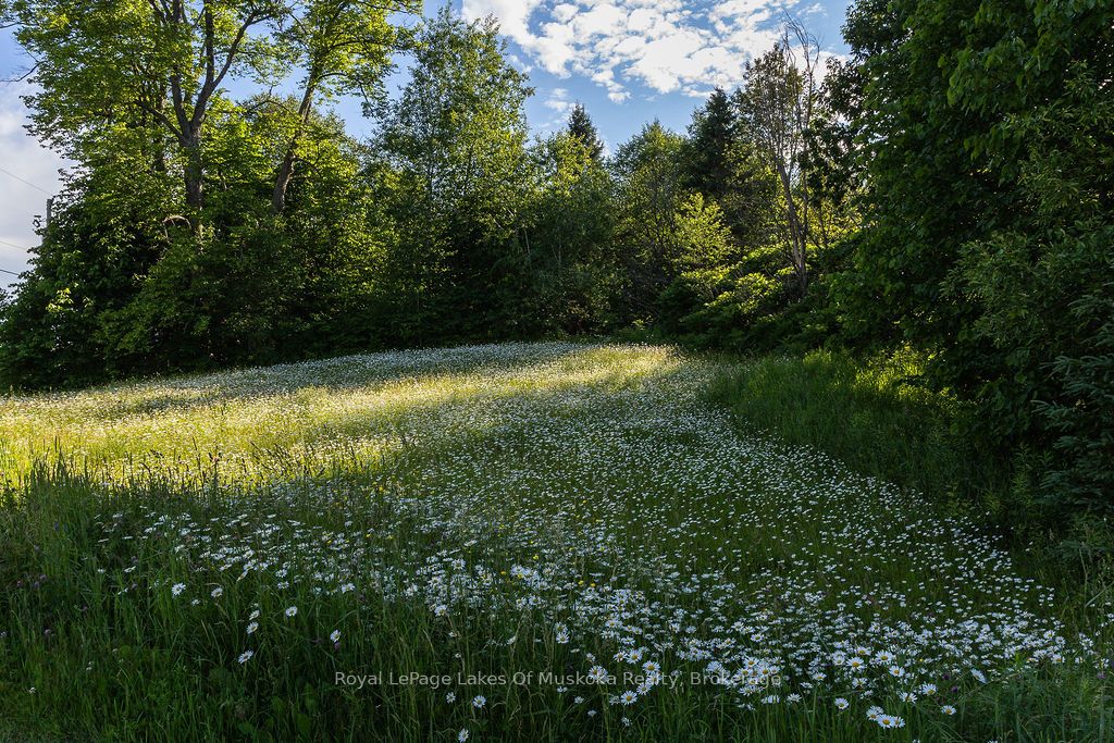 2245 Ahmic Lake Road Property Photo 25