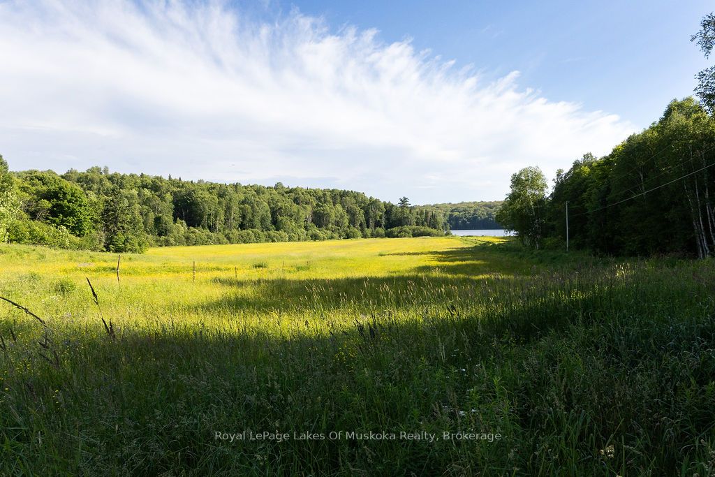 2245 Ahmic Lake Road Property Photo 26