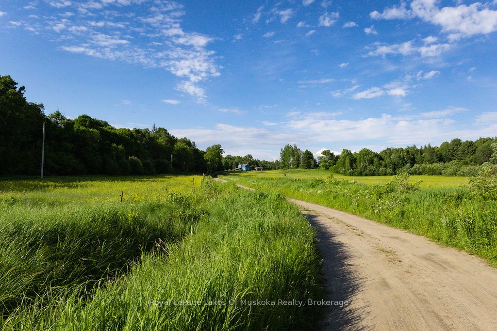 2245 Ahmic Lake Road Property Photo 27