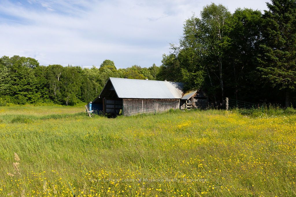 2245 Ahmic Lake Road Property Photo 28