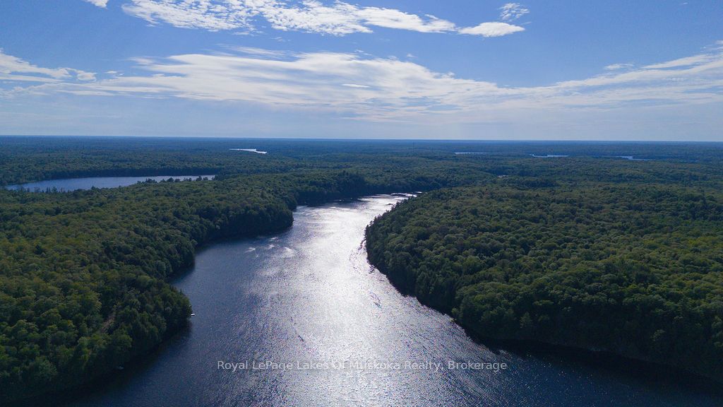 2245 Ahmic Lake Road Property Photo 40