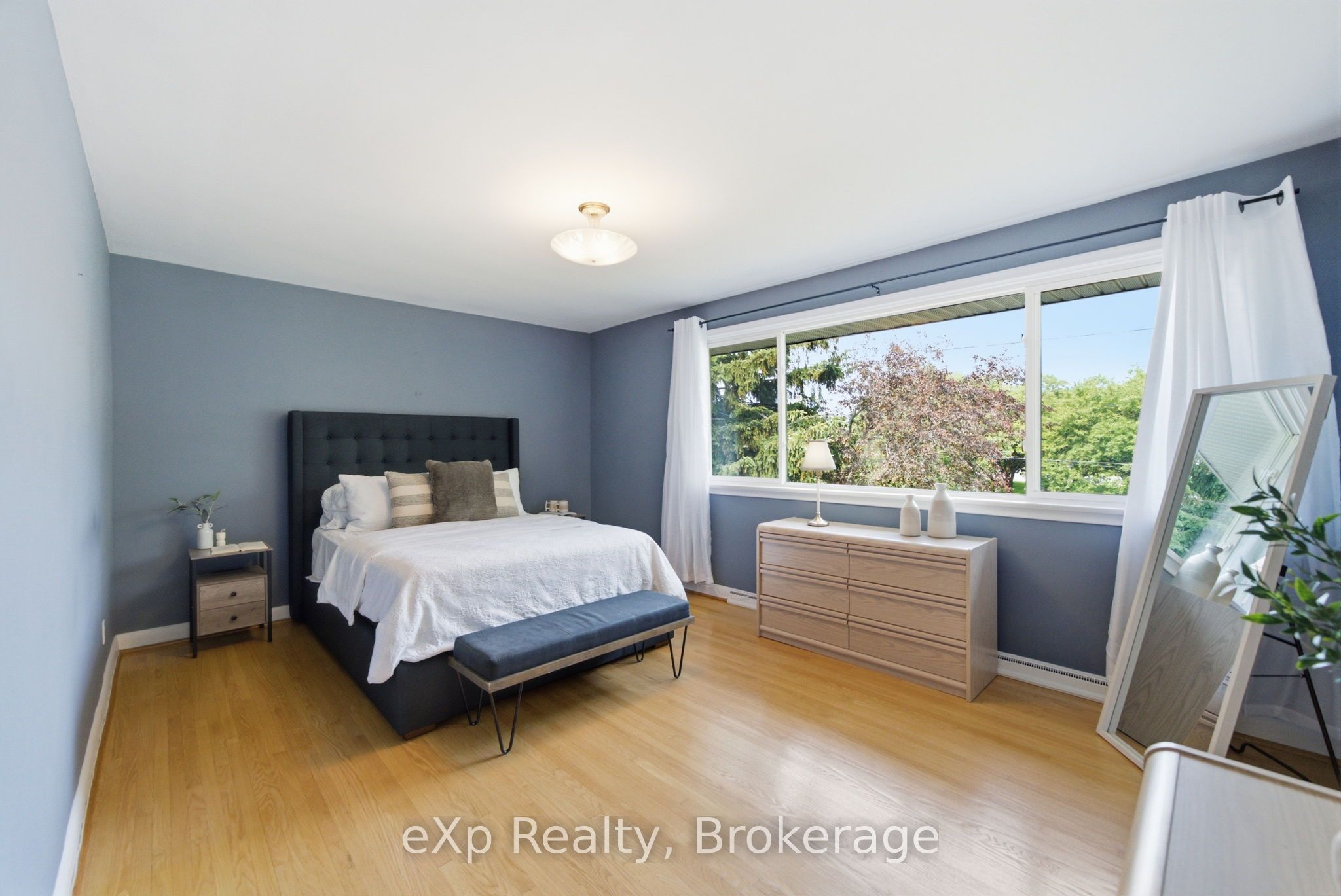 4 Mitchell Street Property Photo 12