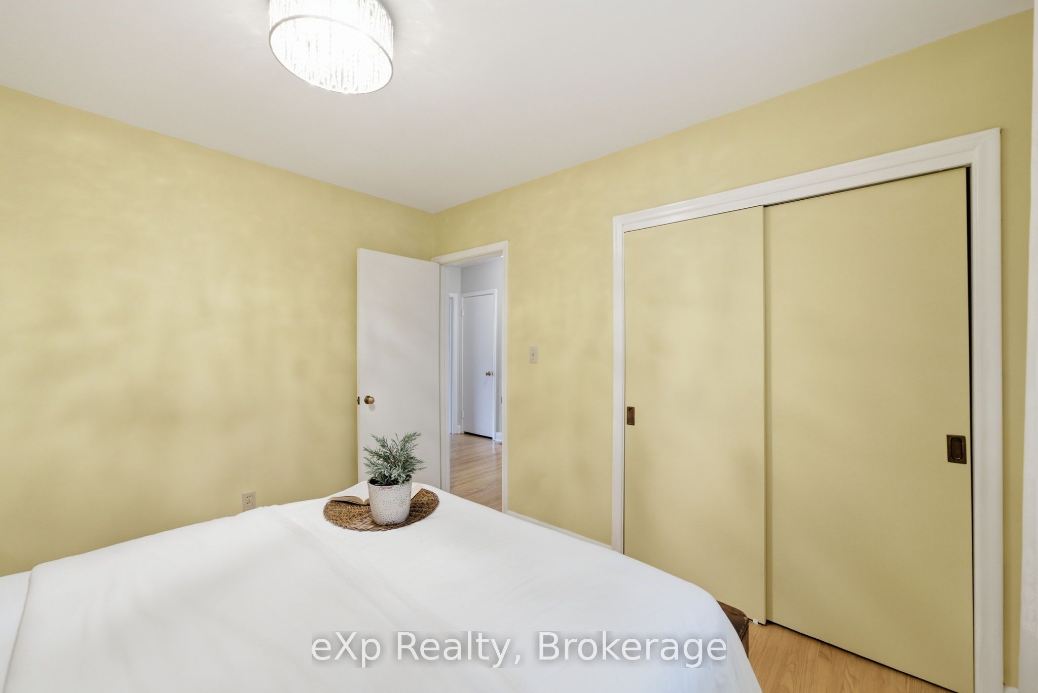 4 Mitchell Street Property Photo 17