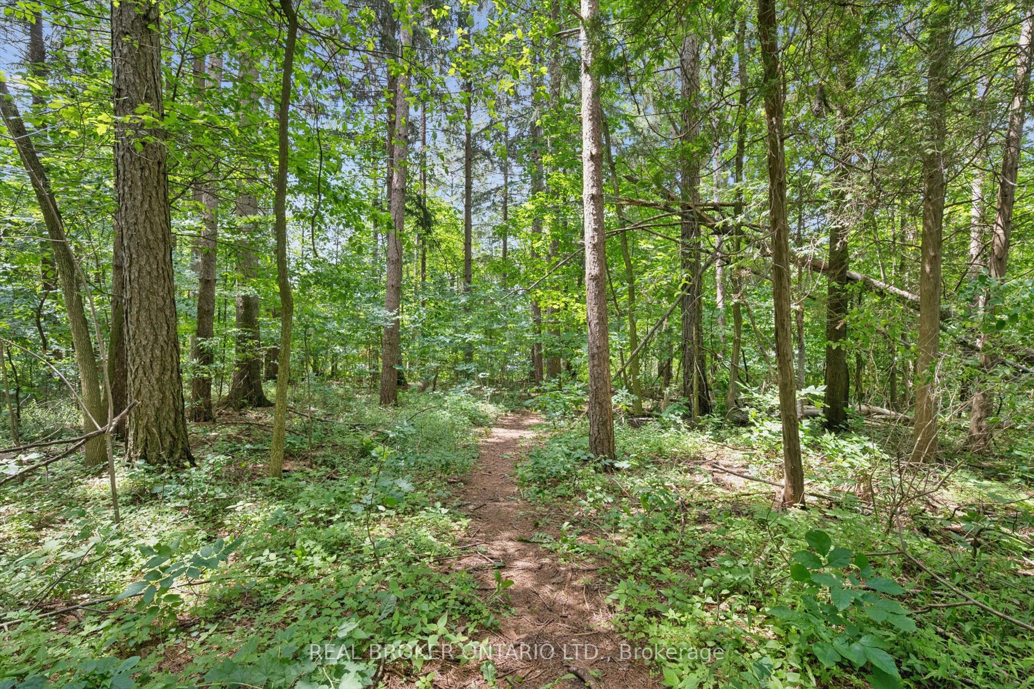 127 Cedar Crescent Property Photo 19