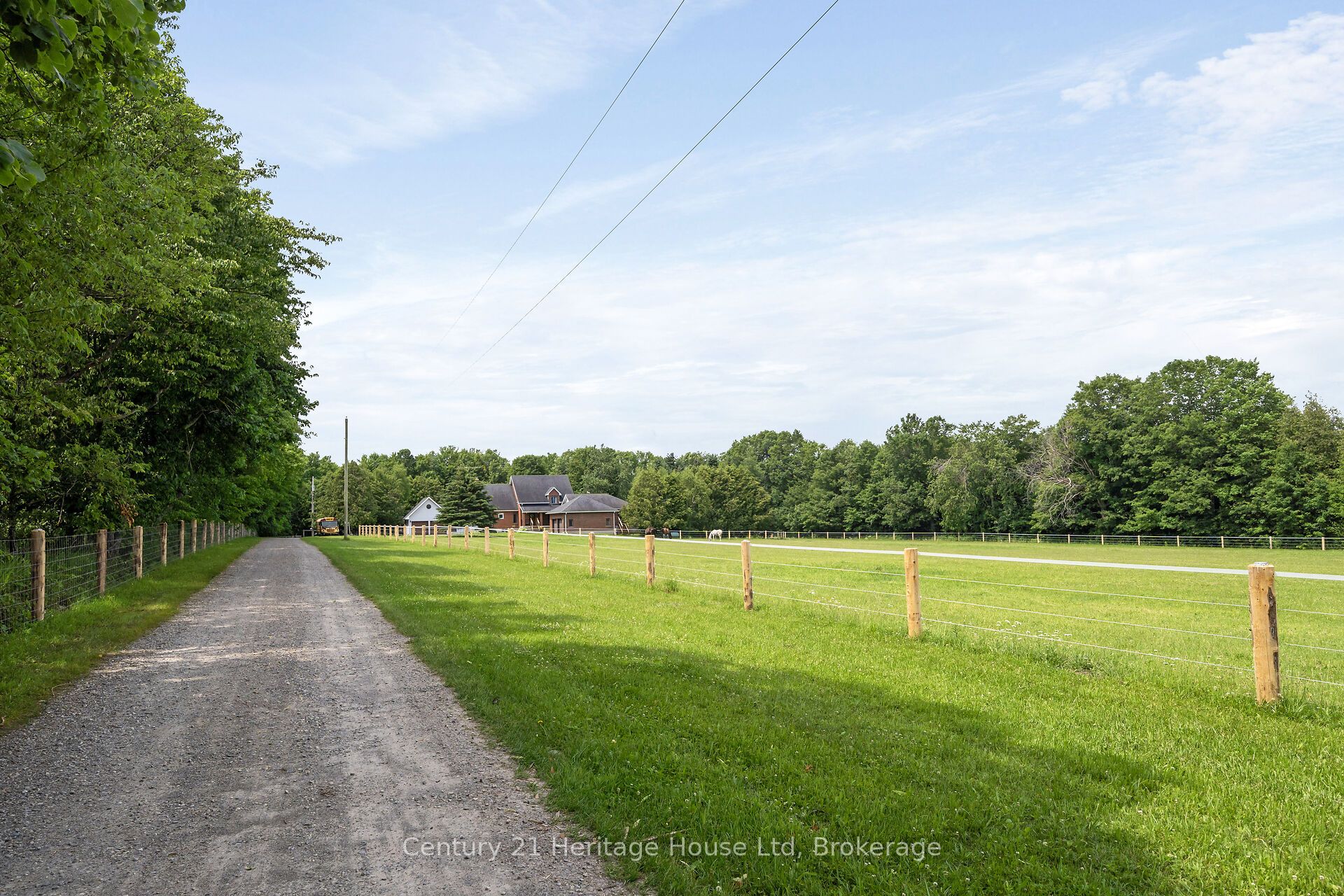 5822 2nd Line Property Photo 5