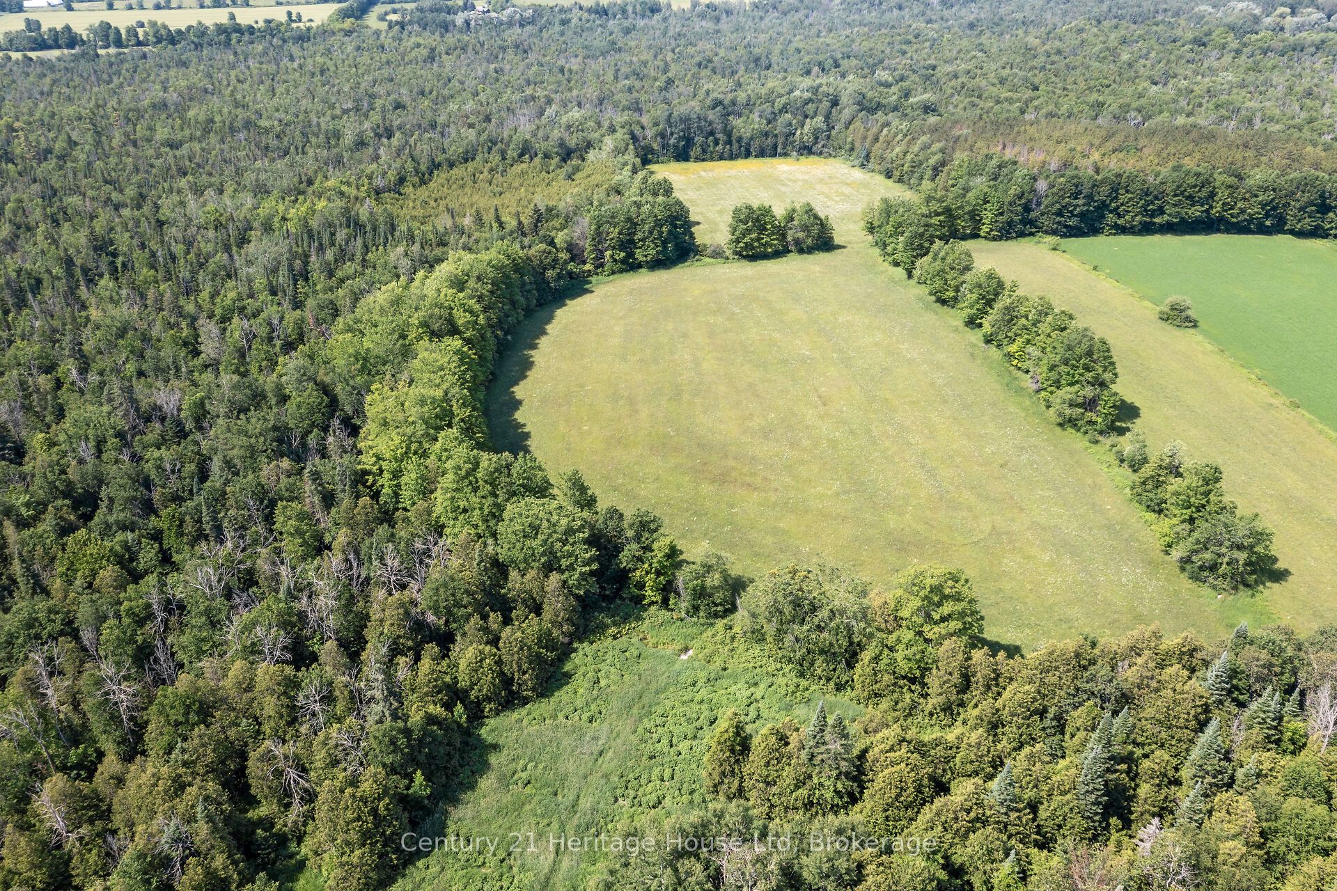 5822 2nd Line Property Photo 36