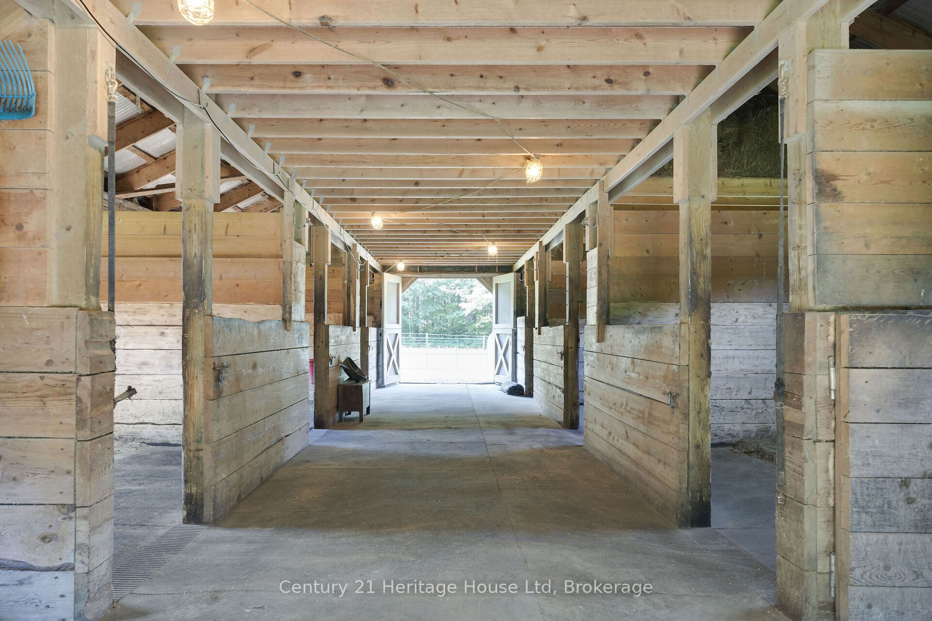 5822 2nd Line Property Photo 38