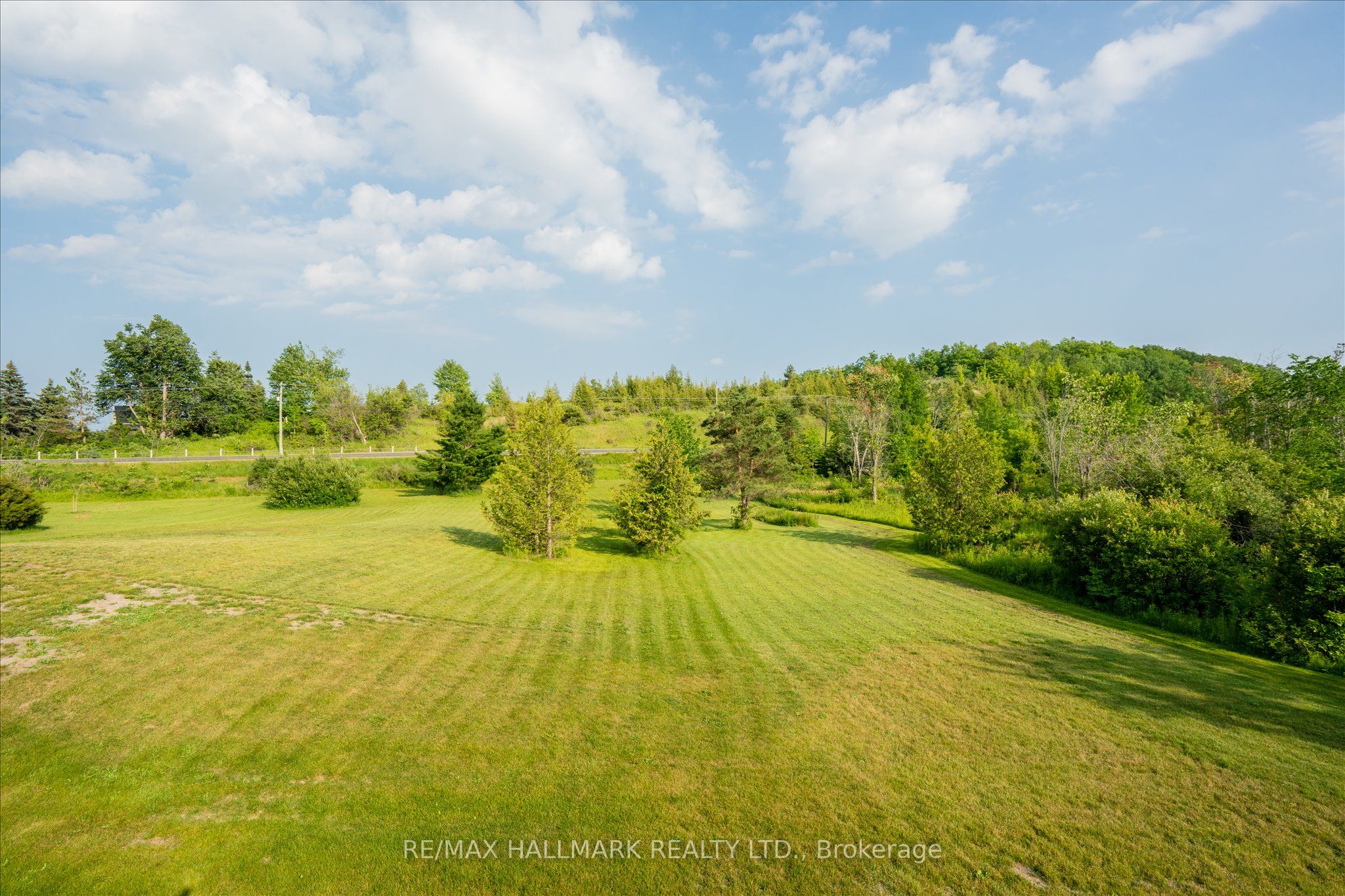 51 Morrow Road Property Photo 41