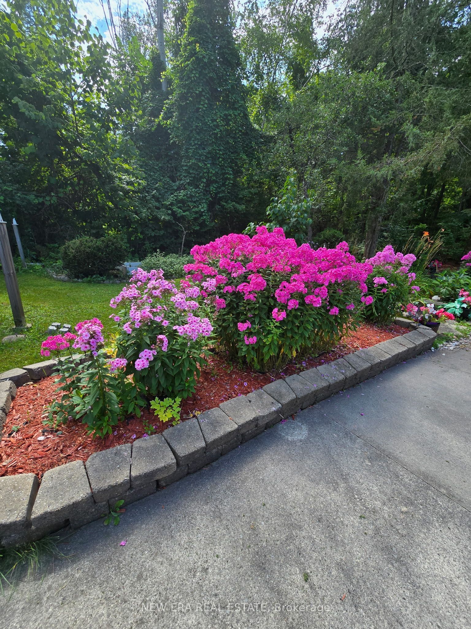 645 Hatton Avenue Property Photo 47