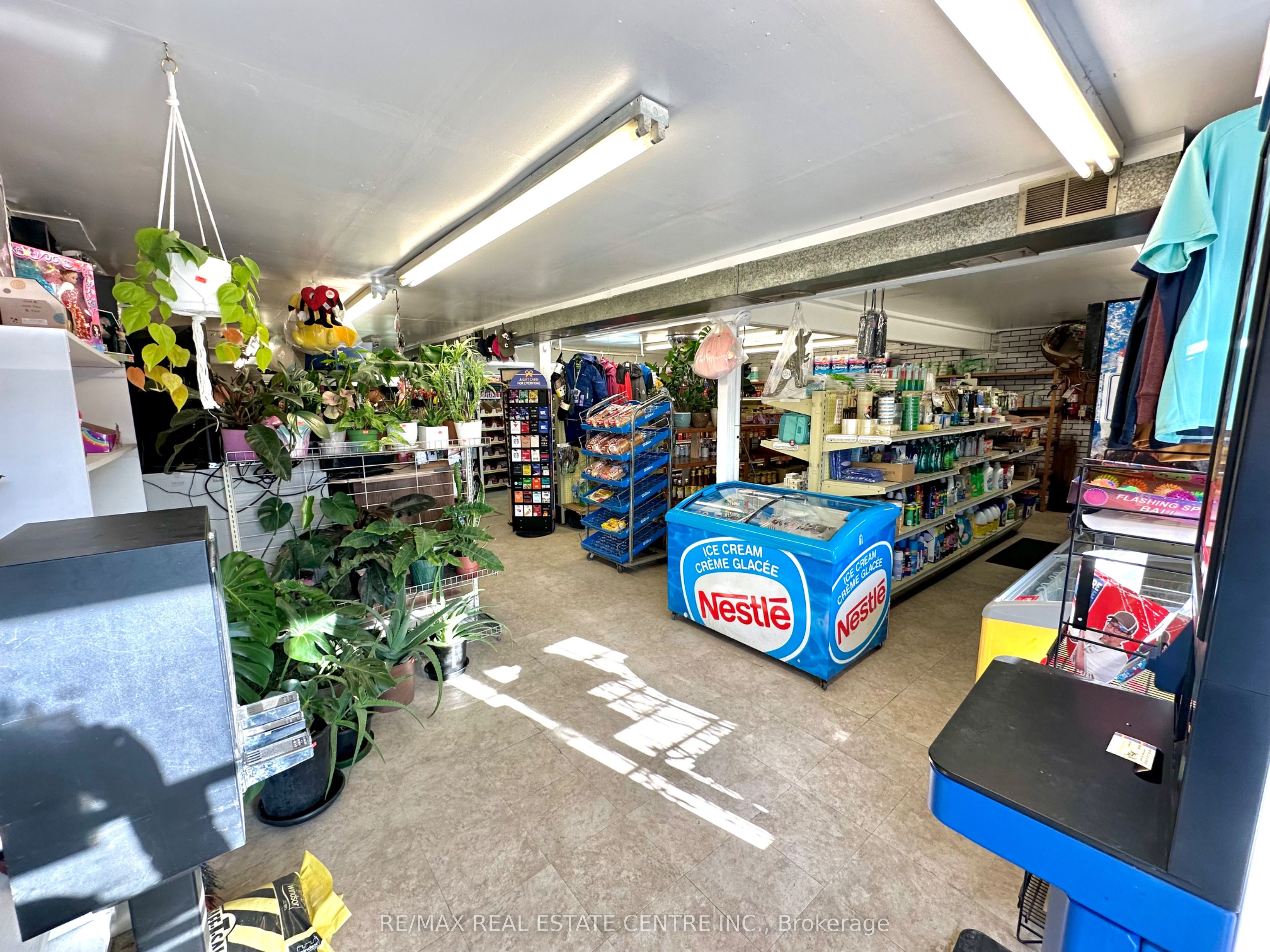 257 Murray Street Property Photo 1