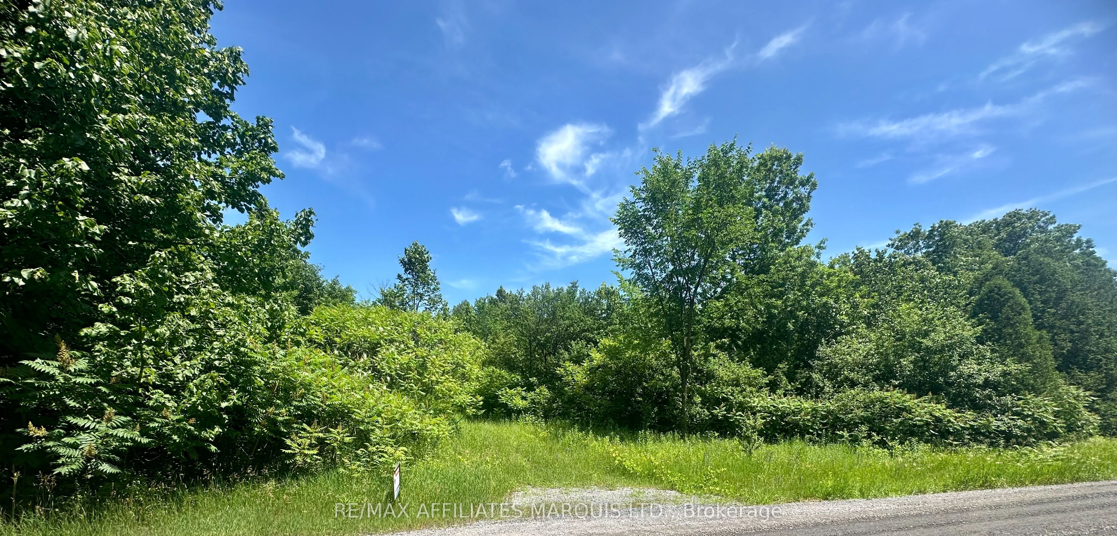 4891 Proctor Road Property Photo 1