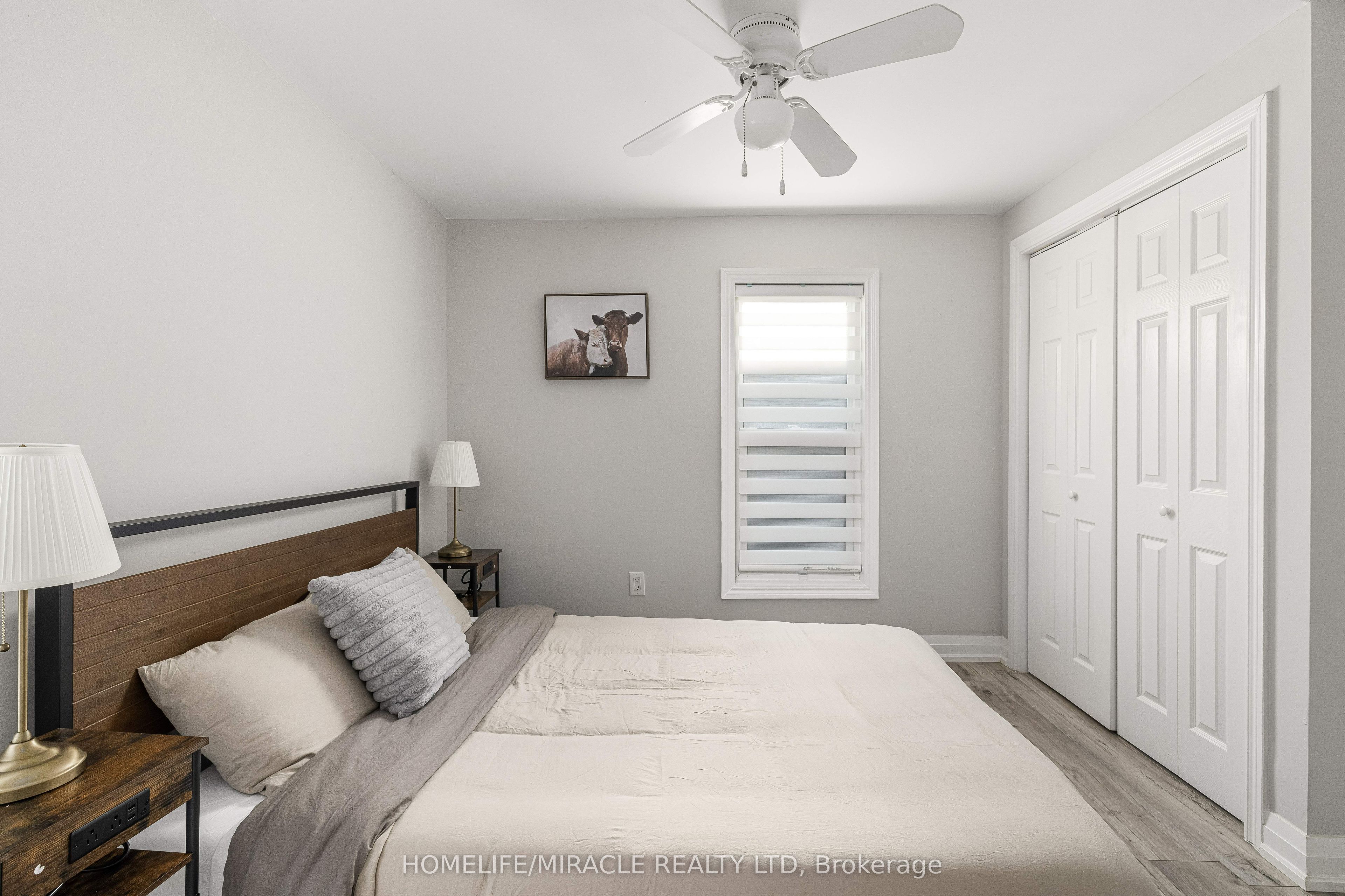 19 Gilbert Street Property Photo 27