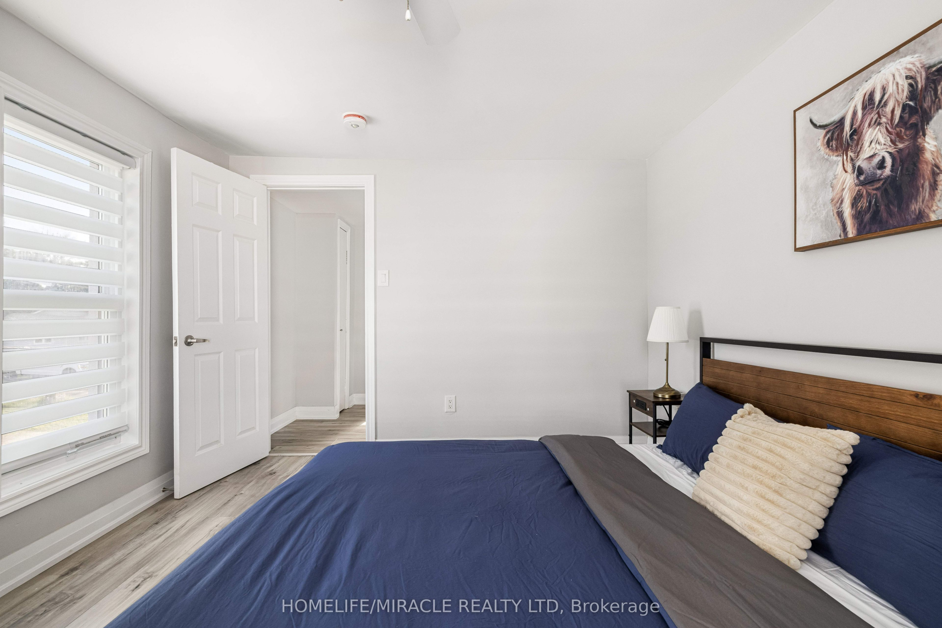 19 Gilbert Street Property Photo 30