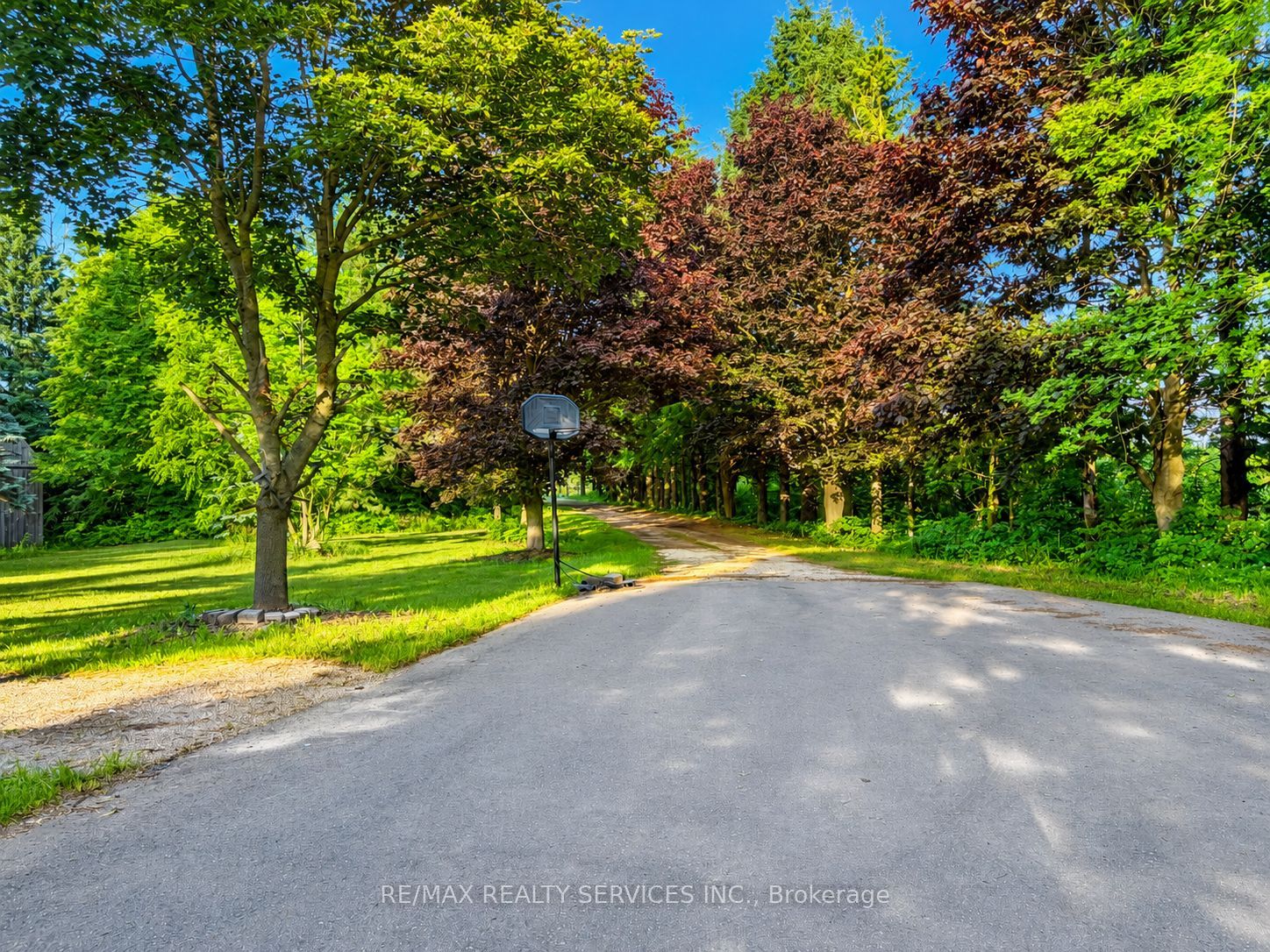 515490 2nd Line Property Photo 33