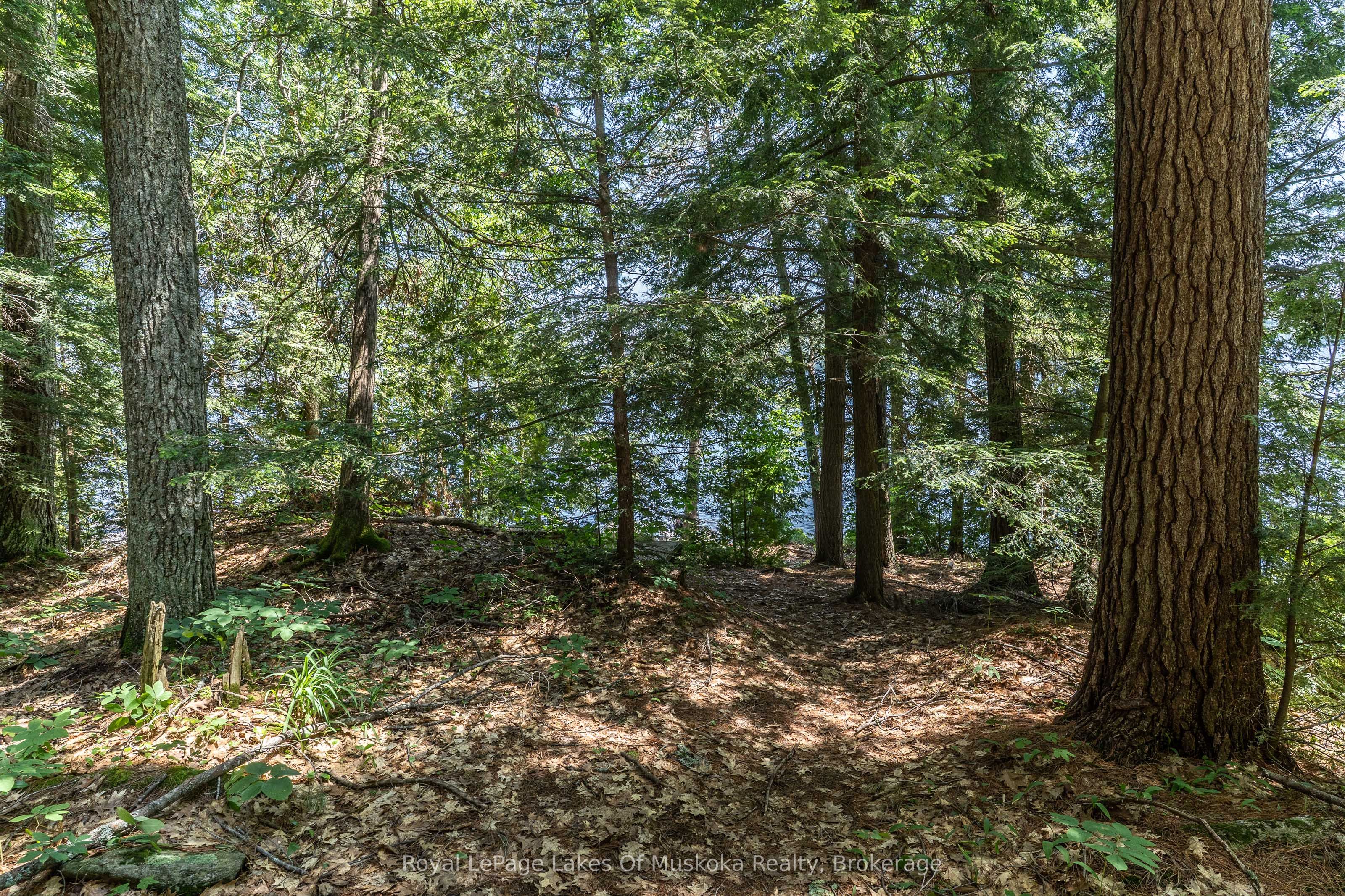 19687 Kawagama North Shore Property Photo 25