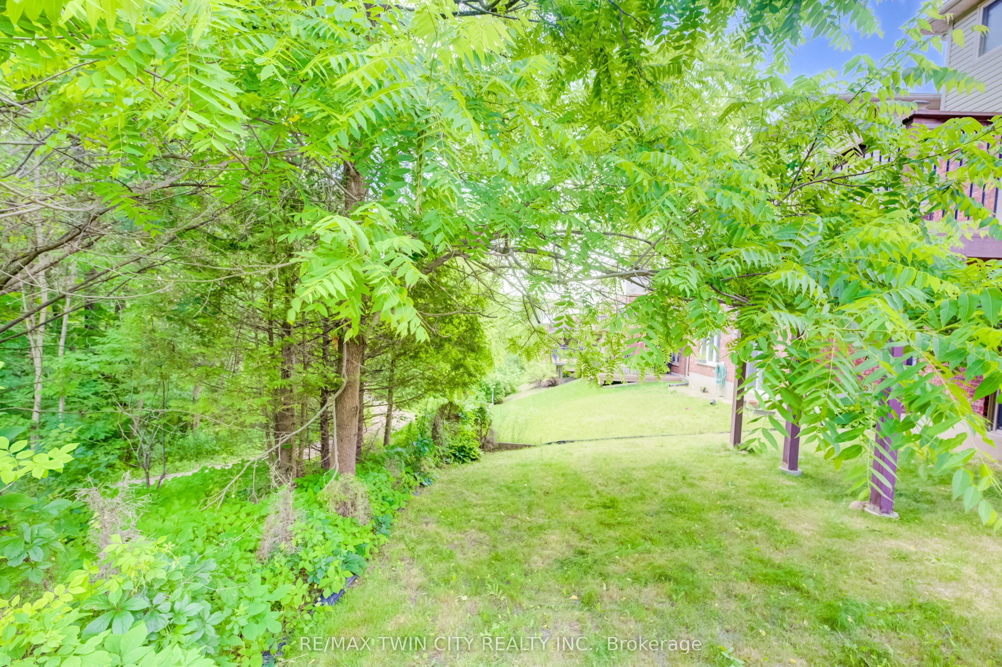 569 Violet Street Property Photo 27