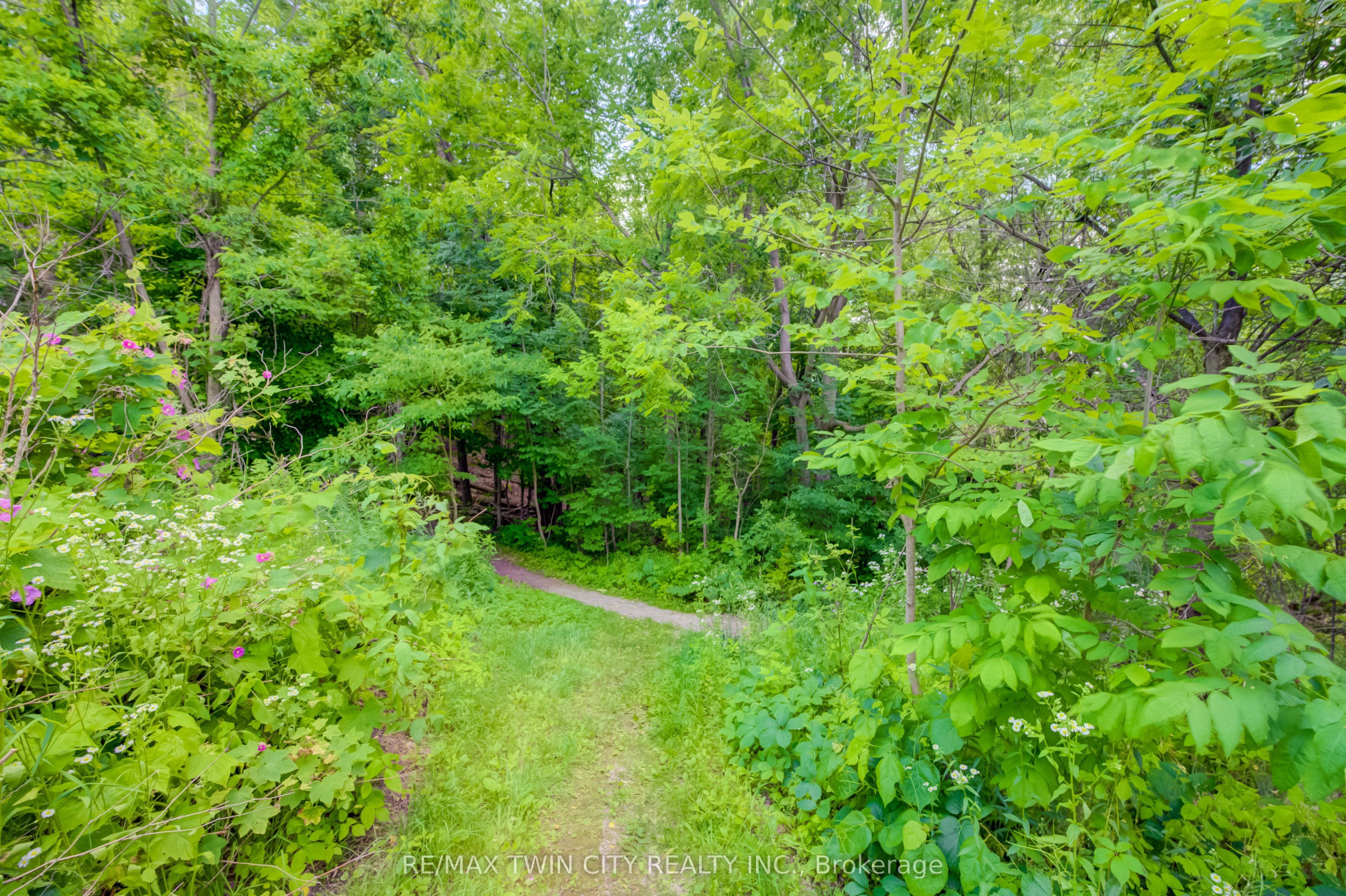 569 Violet Street Property Photo 28