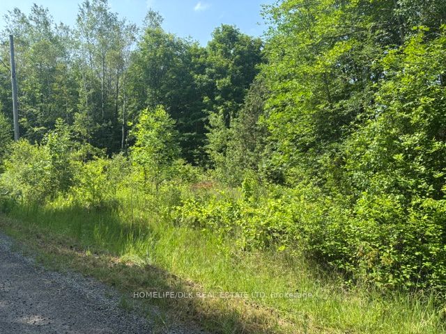 8300 Klitbo Road Property Photo 4