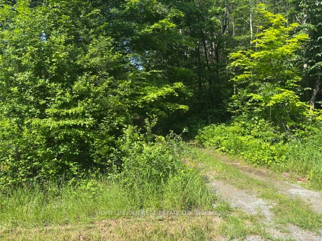8300 Klitbo Road Property Photo 5
