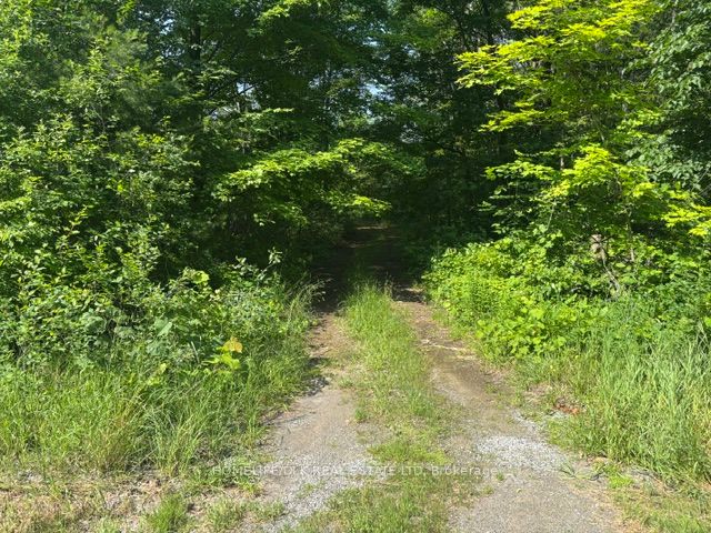 8300 Klitbo Road Property Photo 6