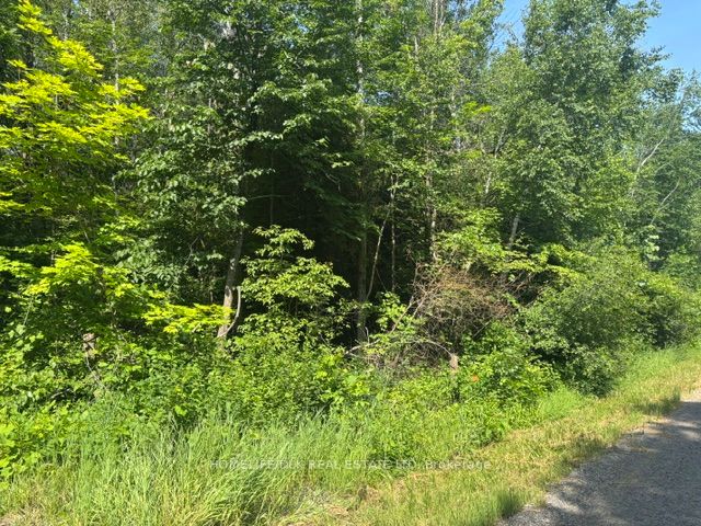 8300 Klitbo Road Property Photo 7
