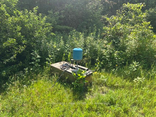 8300 Klitbo Road Property Photo 10