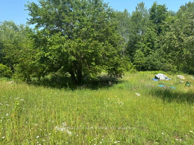 8300 Klitbo Road Property Photo 11